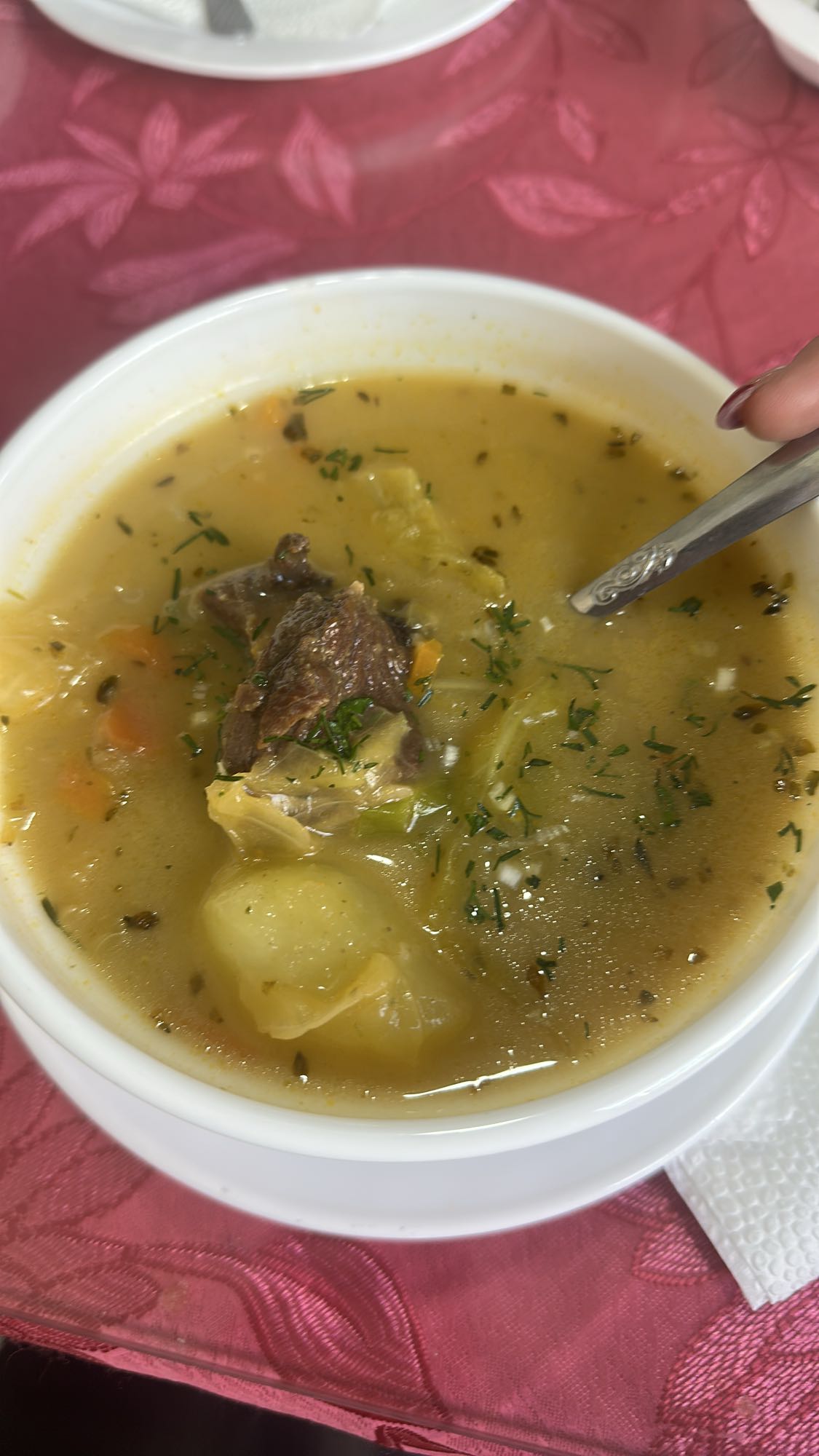 sopa de carne y verduras