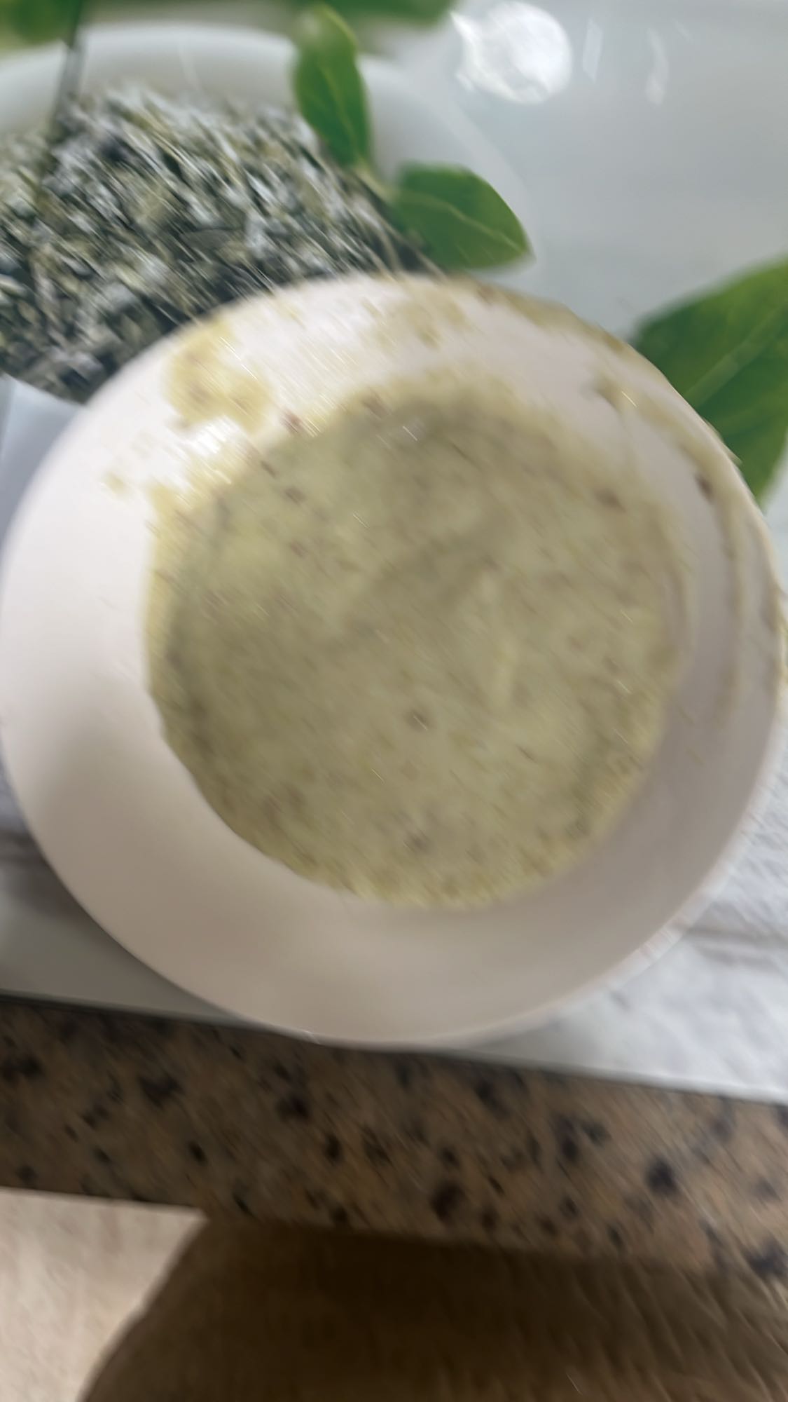 sopa de avena