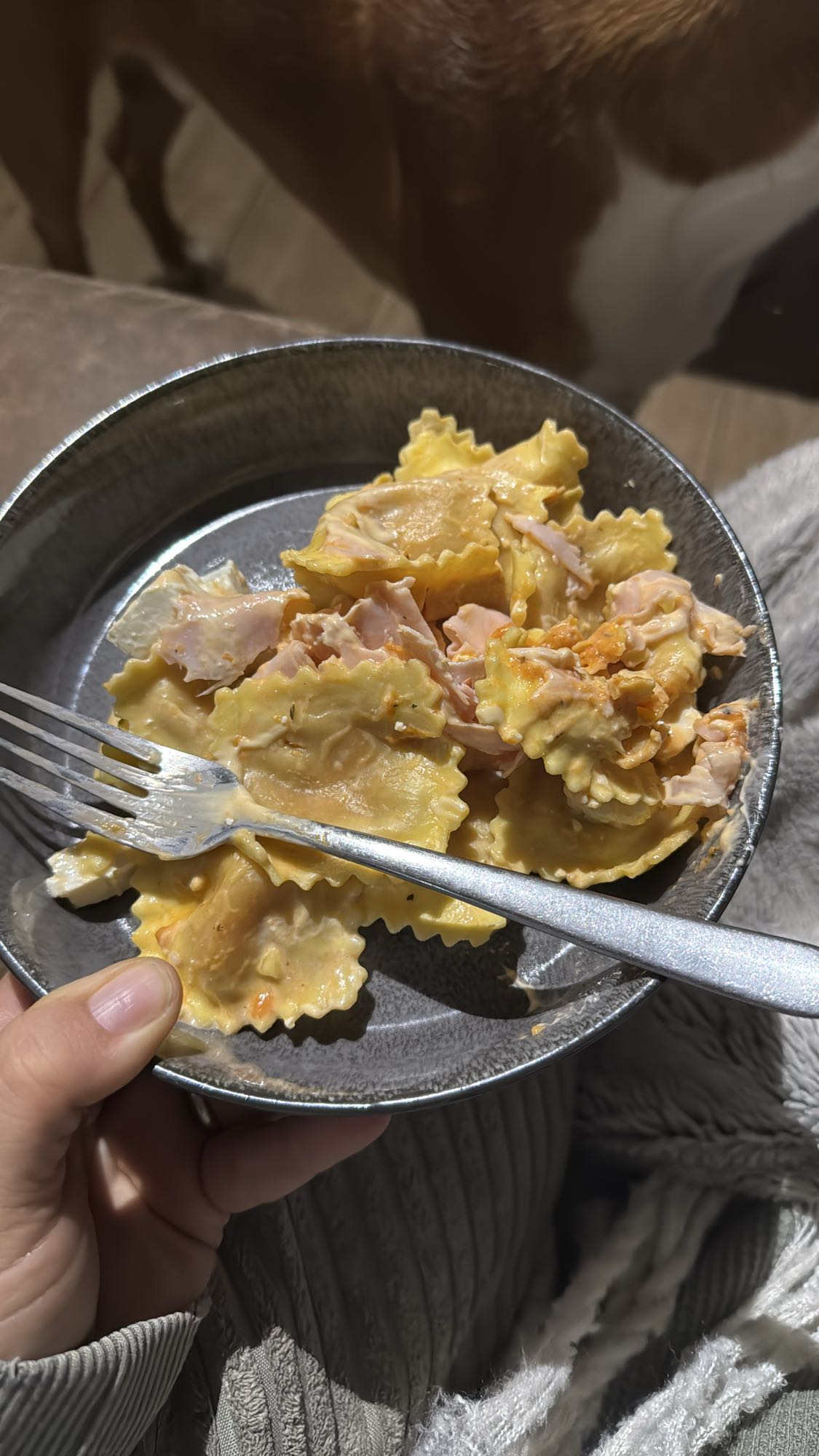 Ravioli mit Schinken