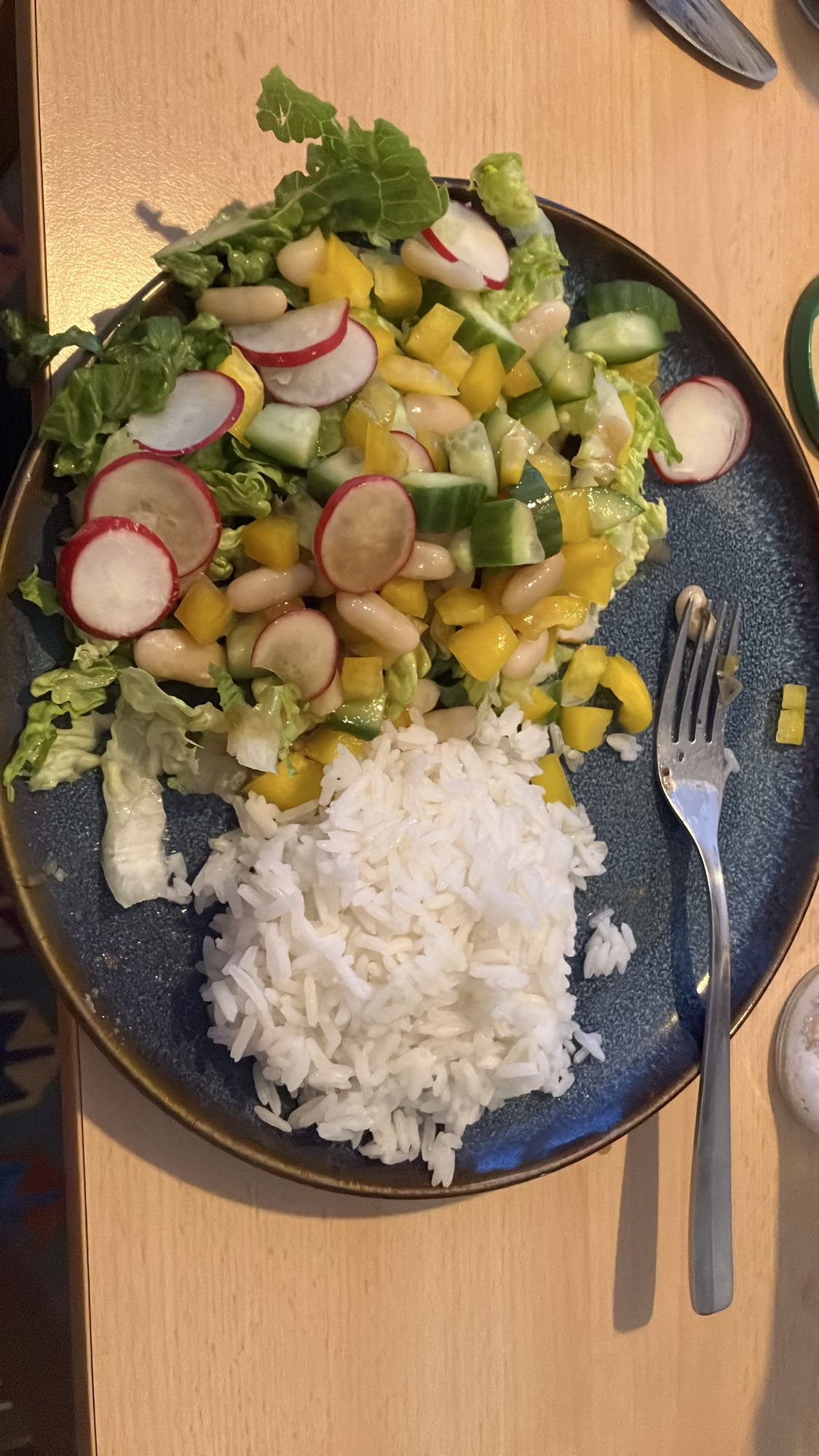 Arroz com salada colorida e carne de porco assada
