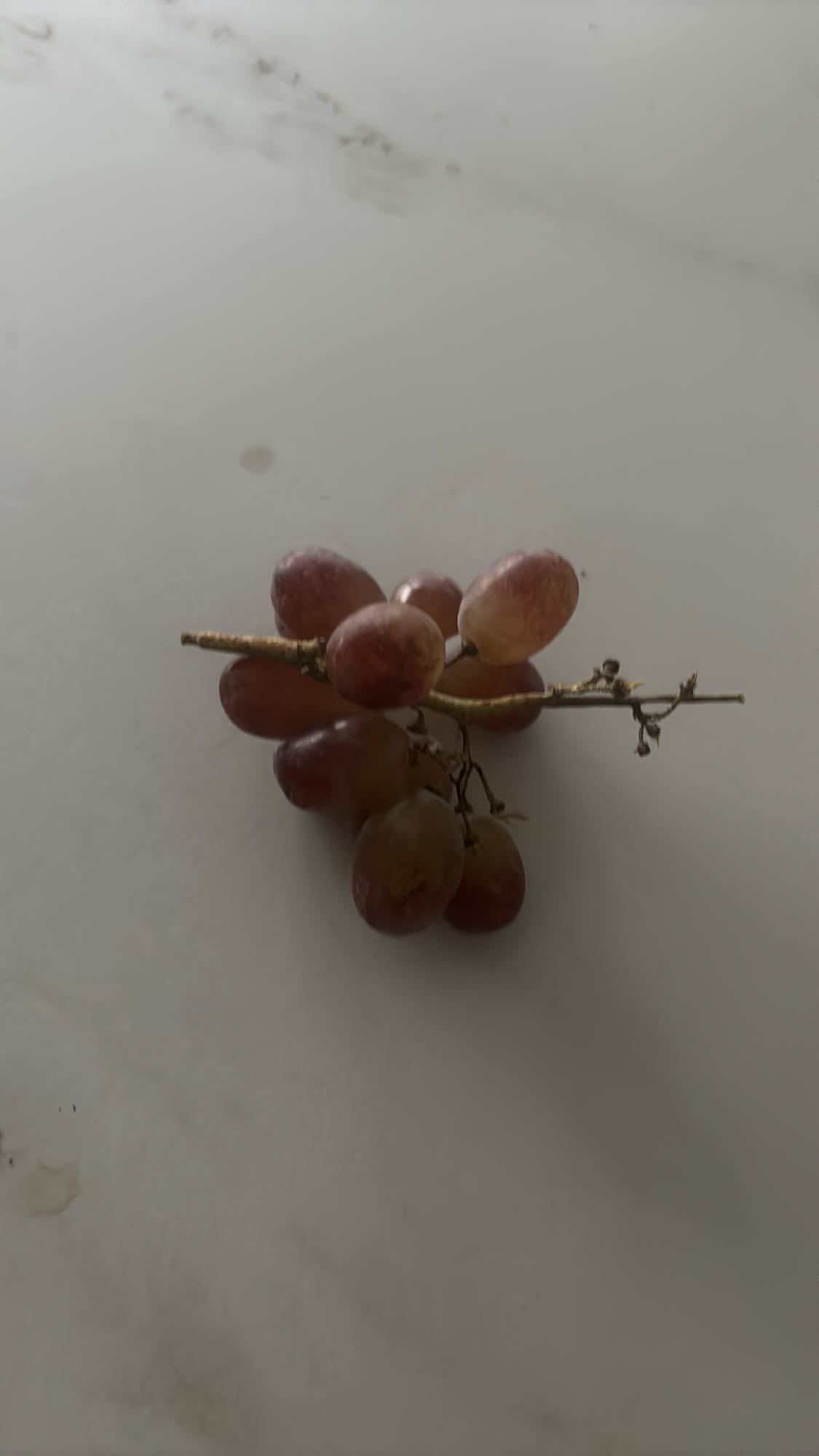 Racimo de uvas rojas