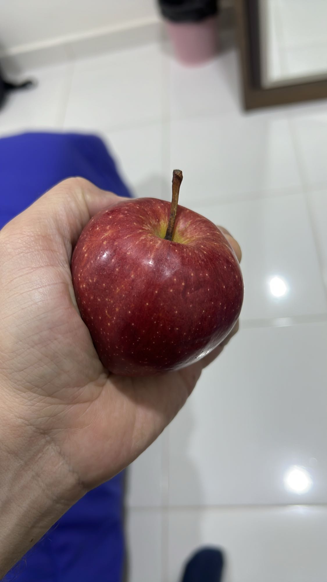 Red Apple Snack