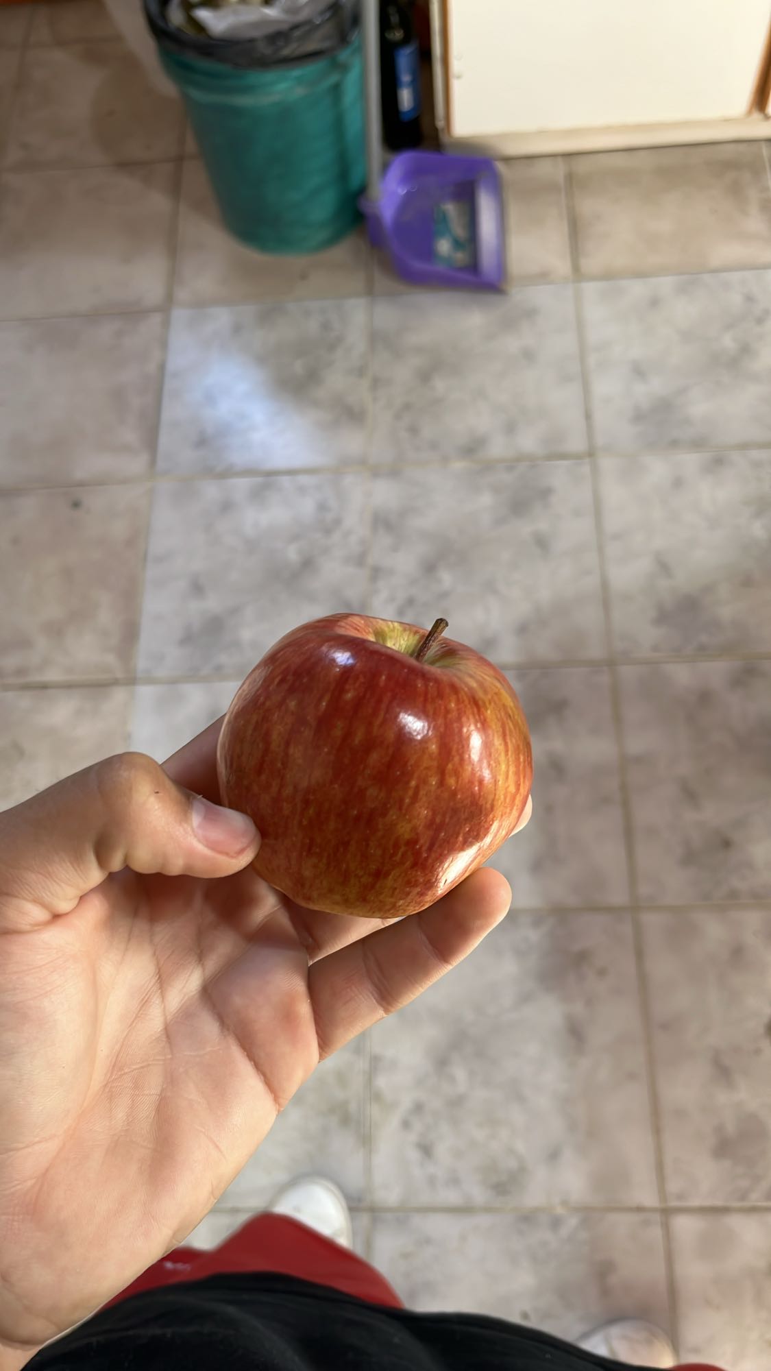 Manzana roja entera
