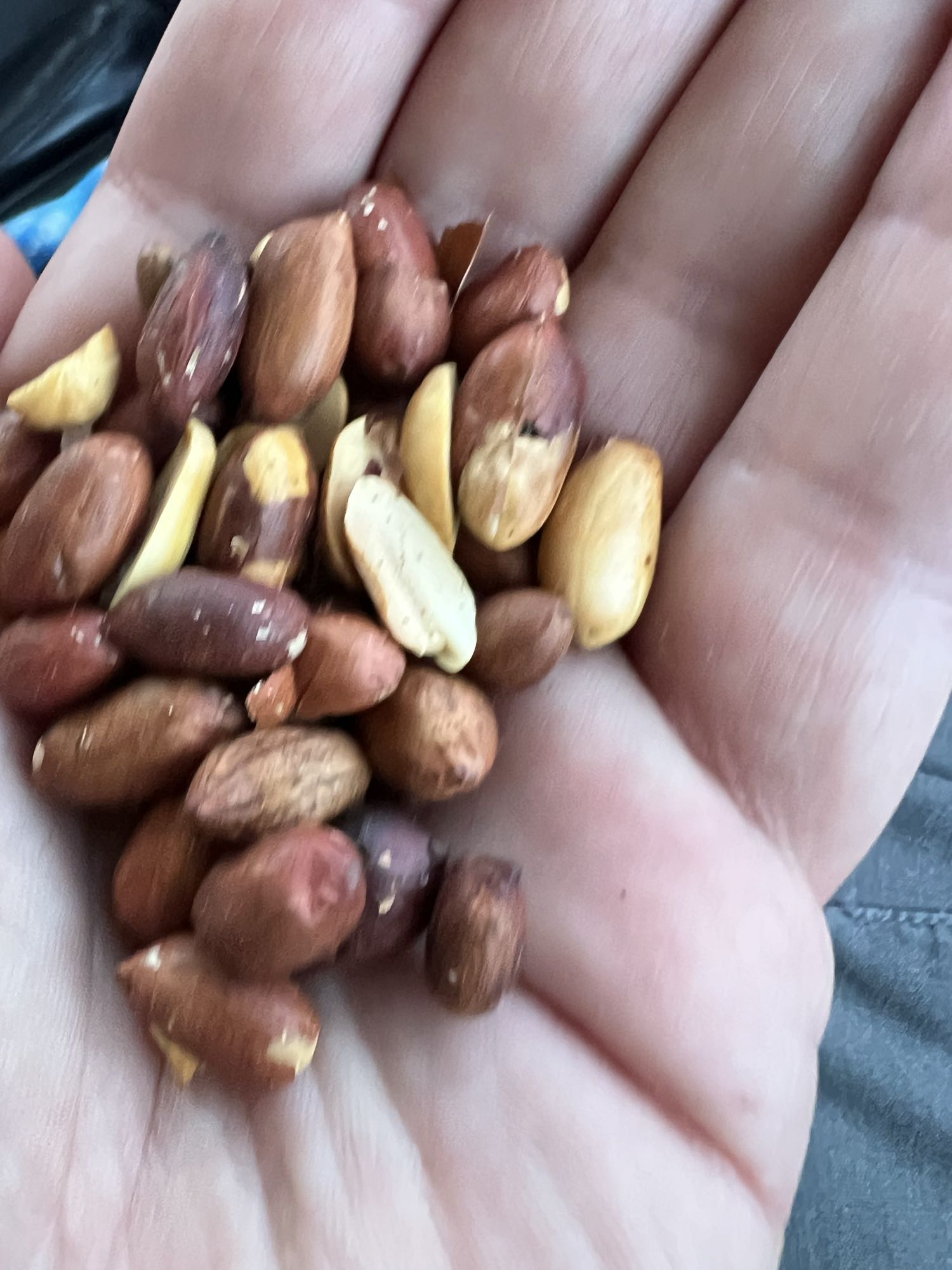 Handful of Peanuts