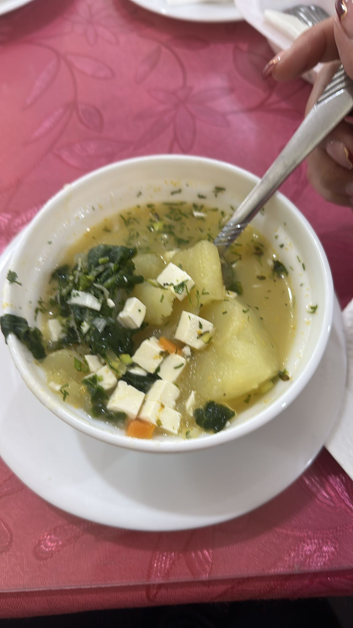sopa de verduras con tofu