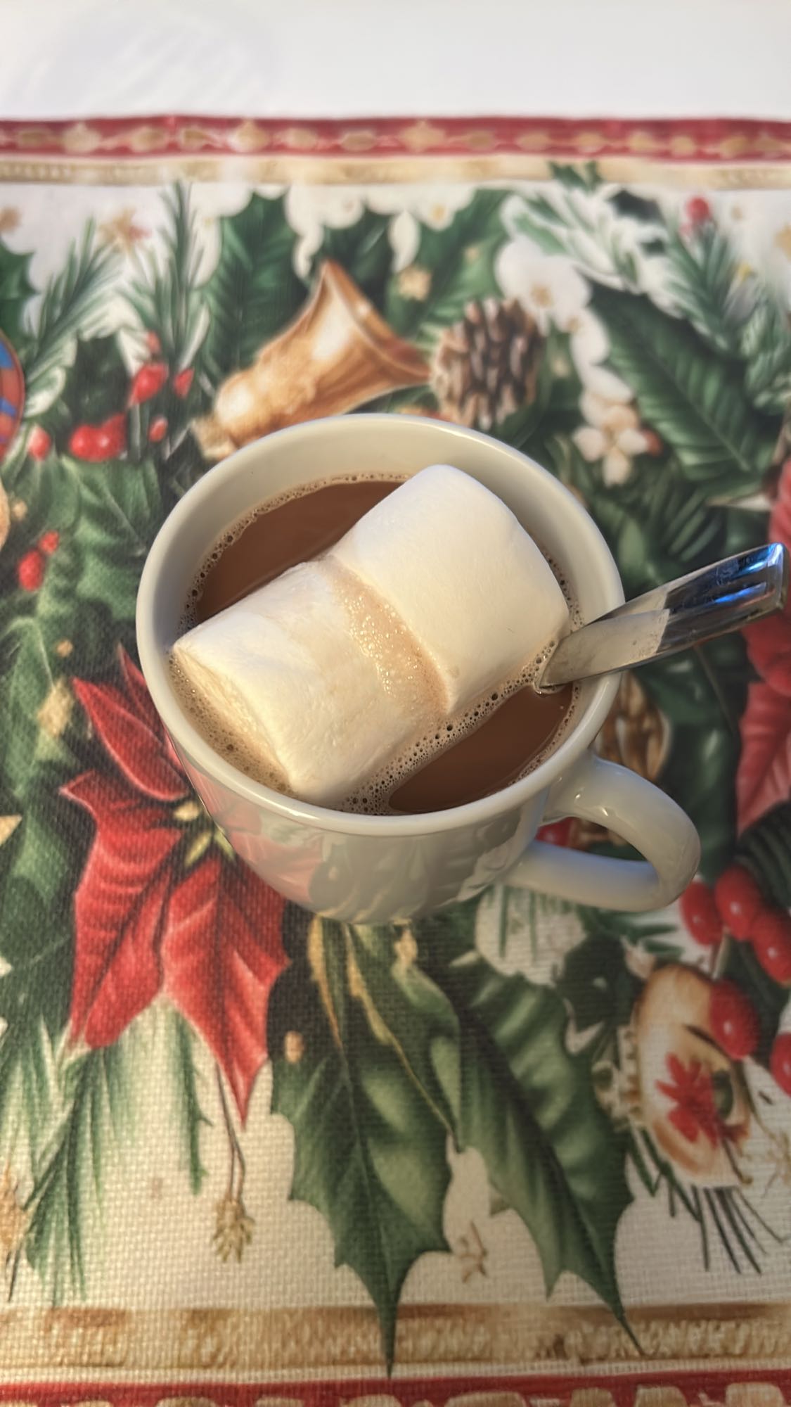 горячий шоколад с зефиром