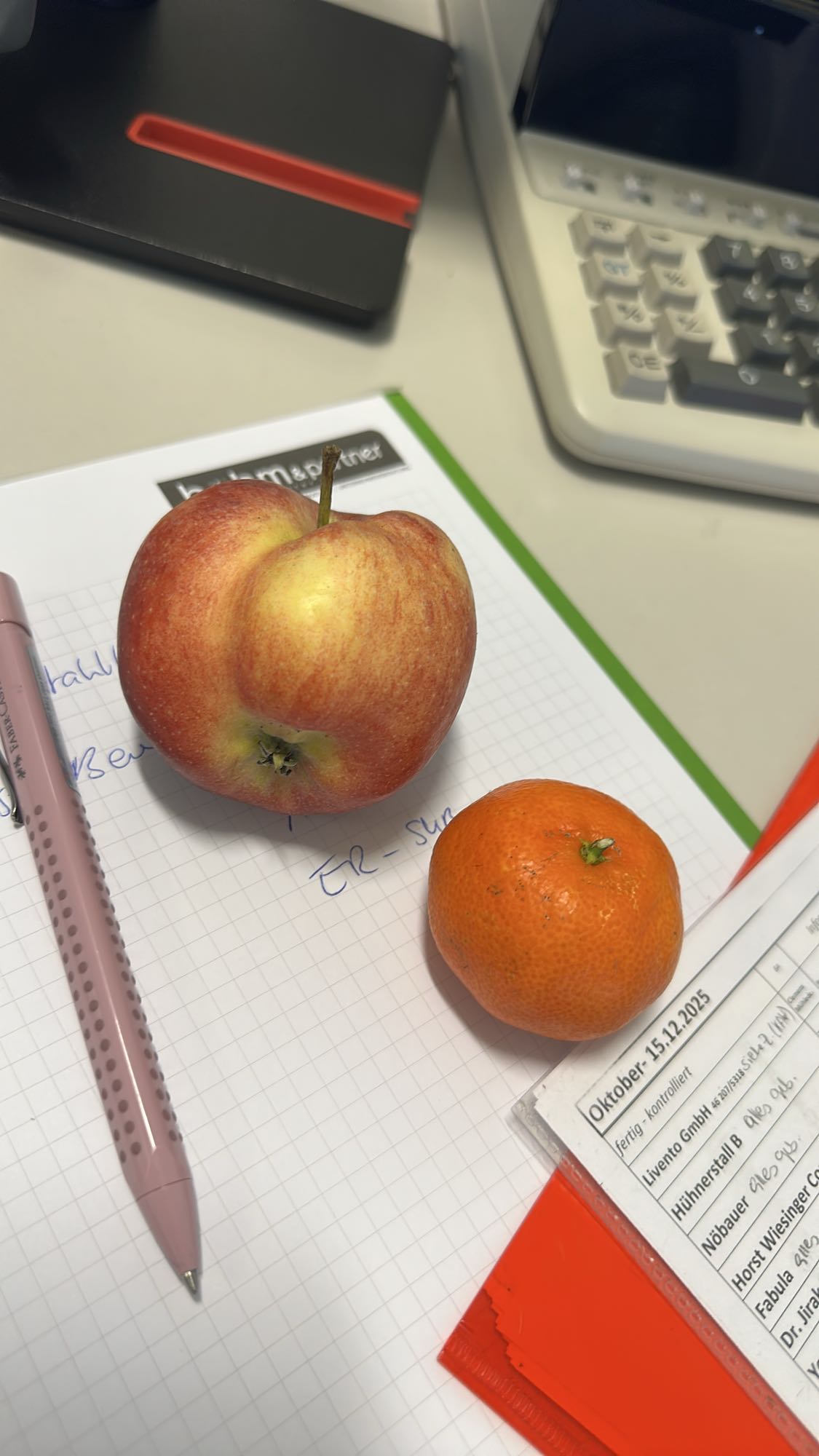 Apfel und Mandarine