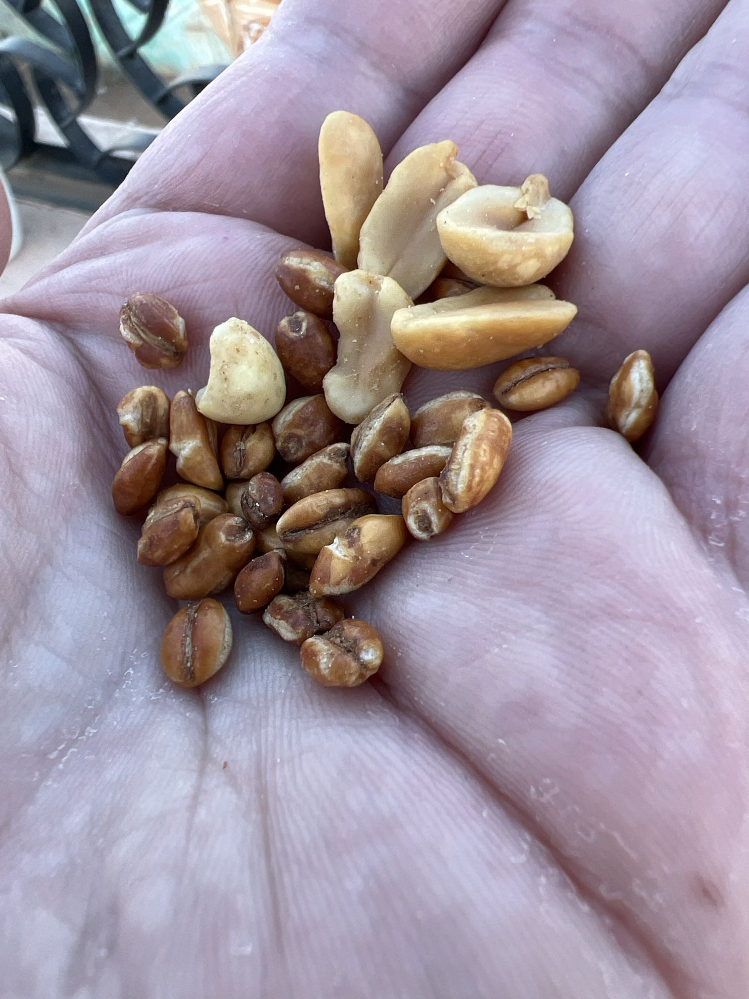 Peanuts and Corn Snack