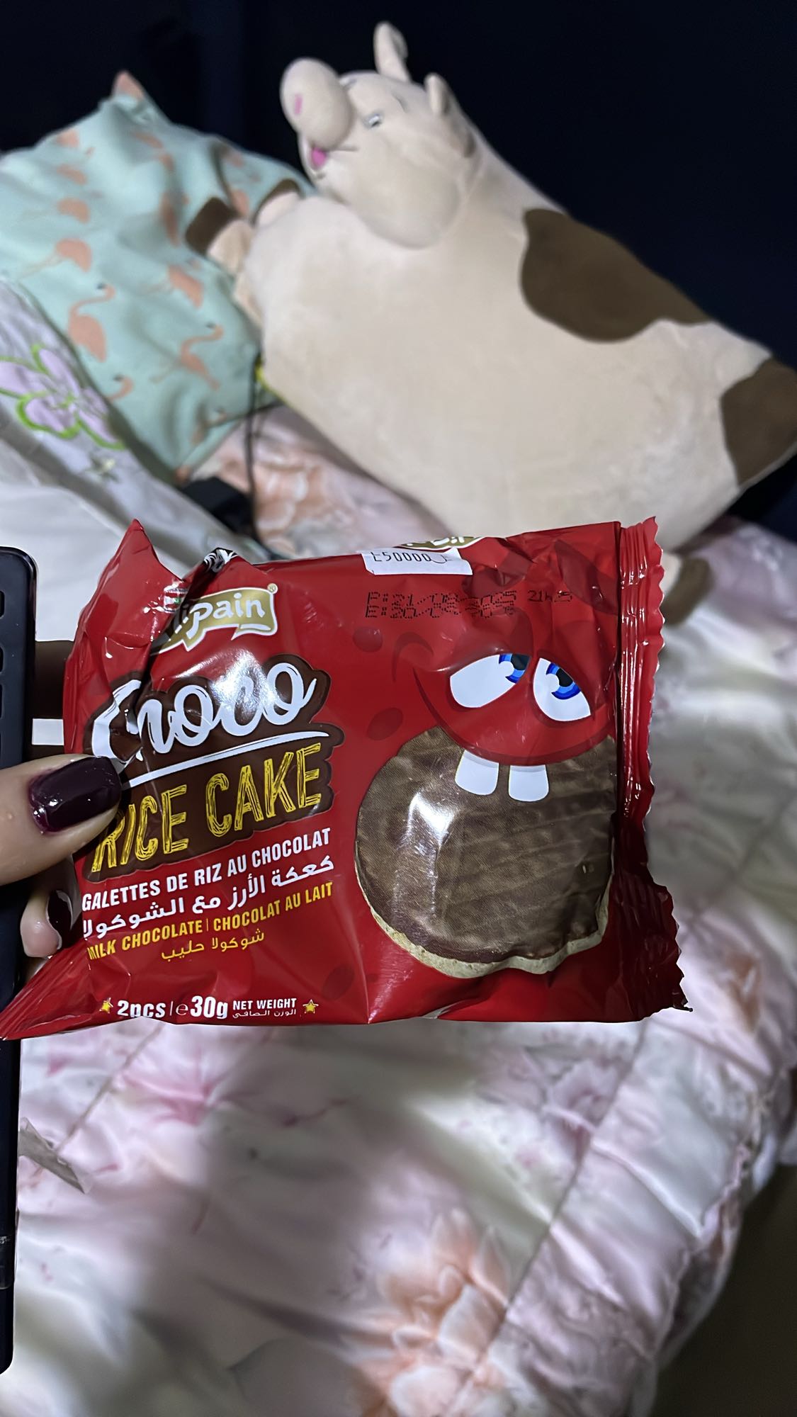 Choco Rice Cake