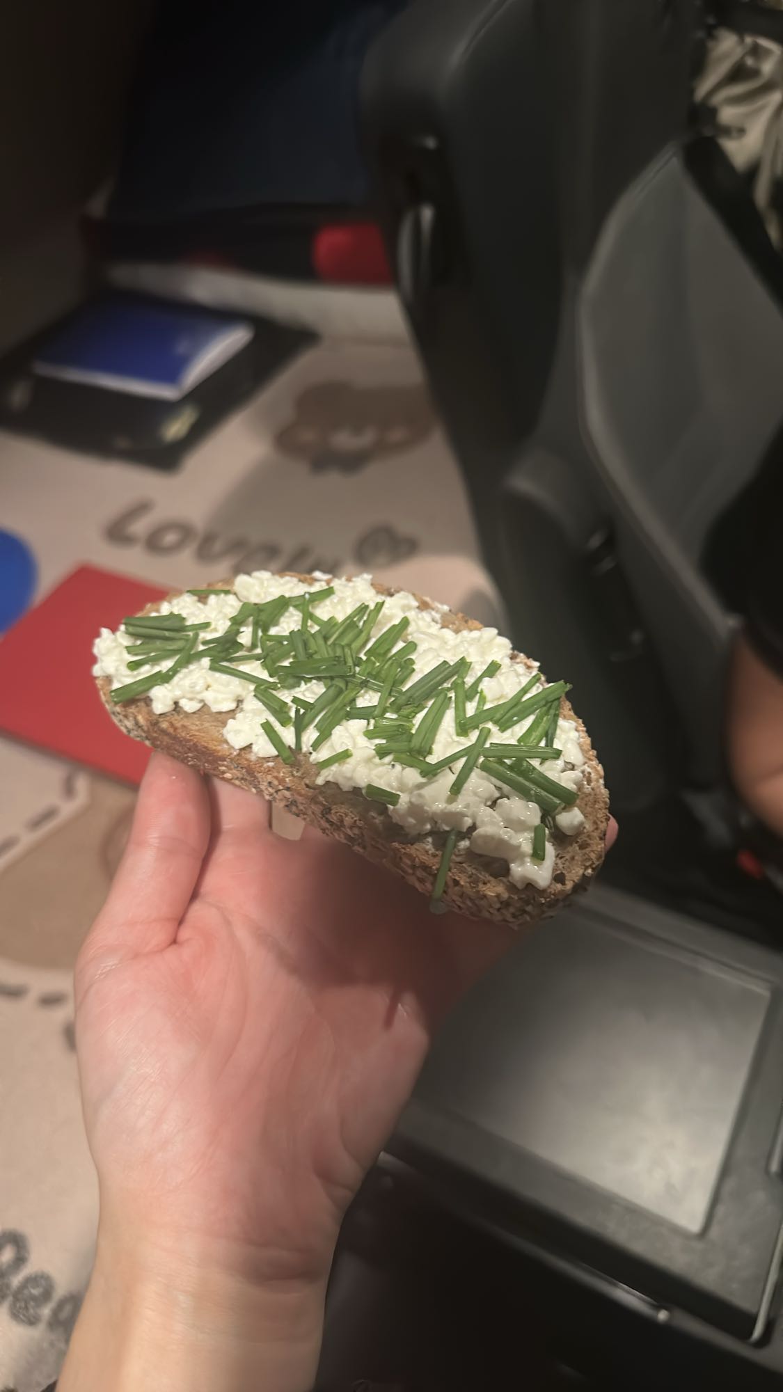 Pâine cu brânză și ceapă