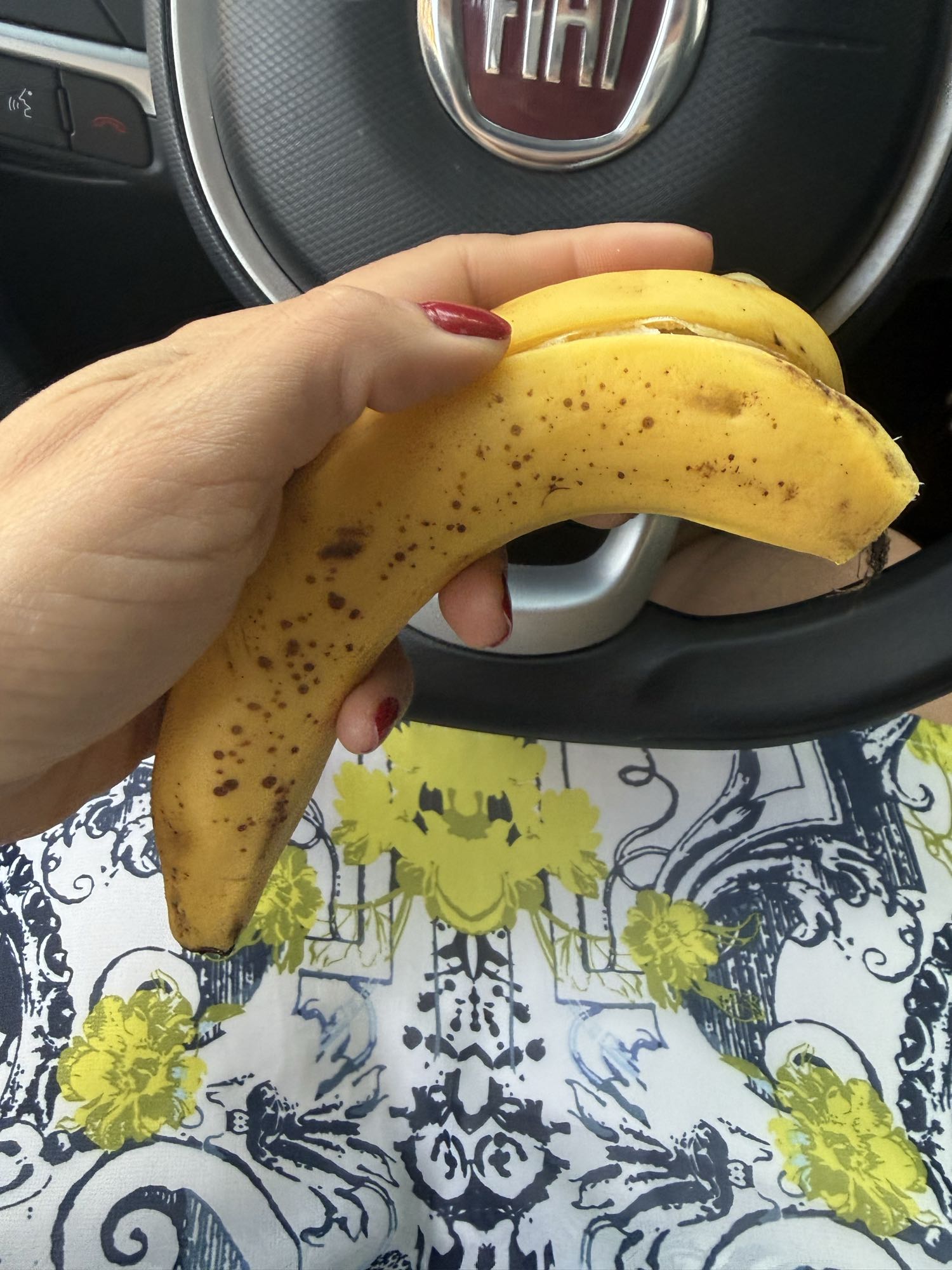 Bananas no carro