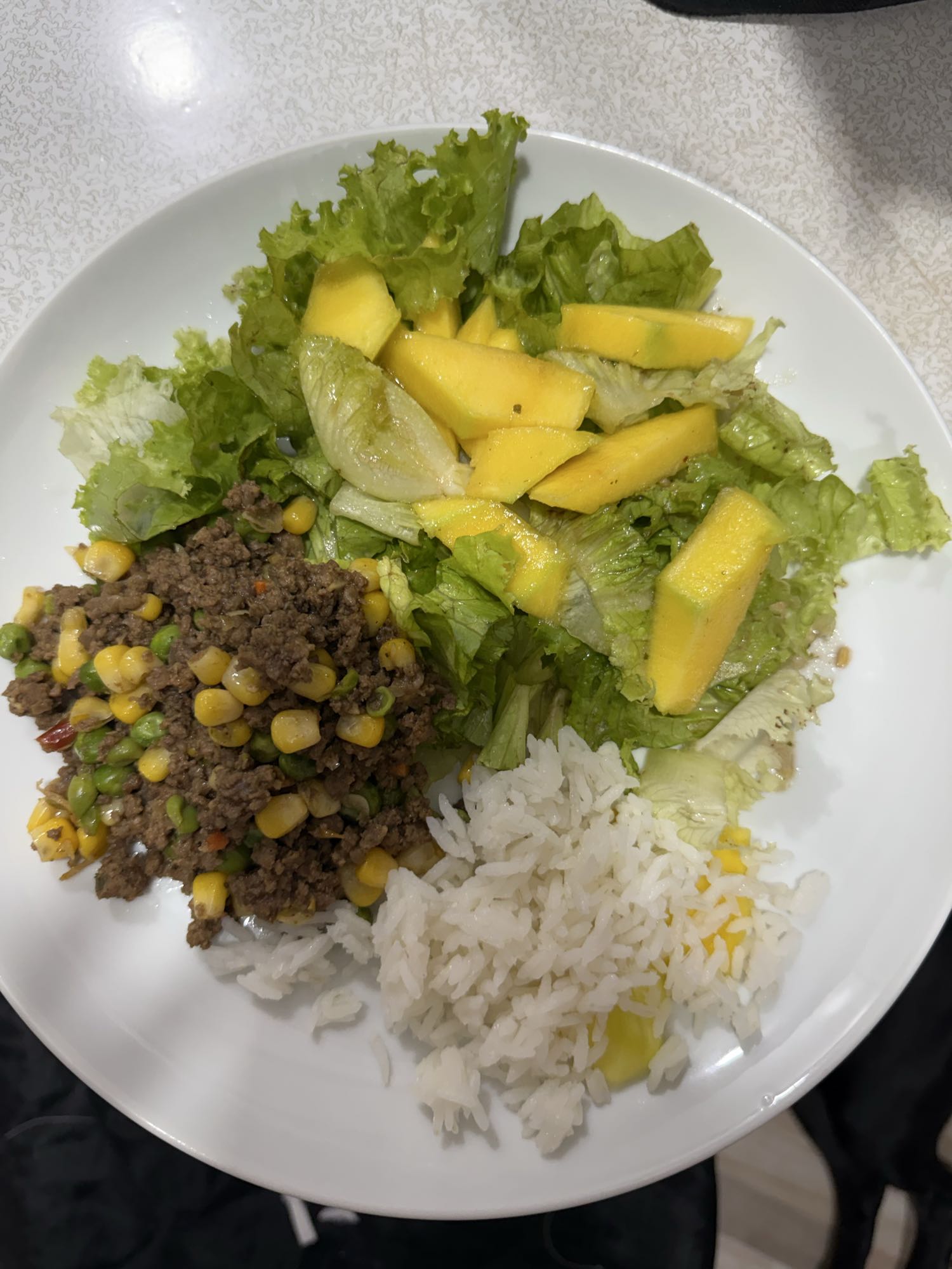 Arroz, carne e salada