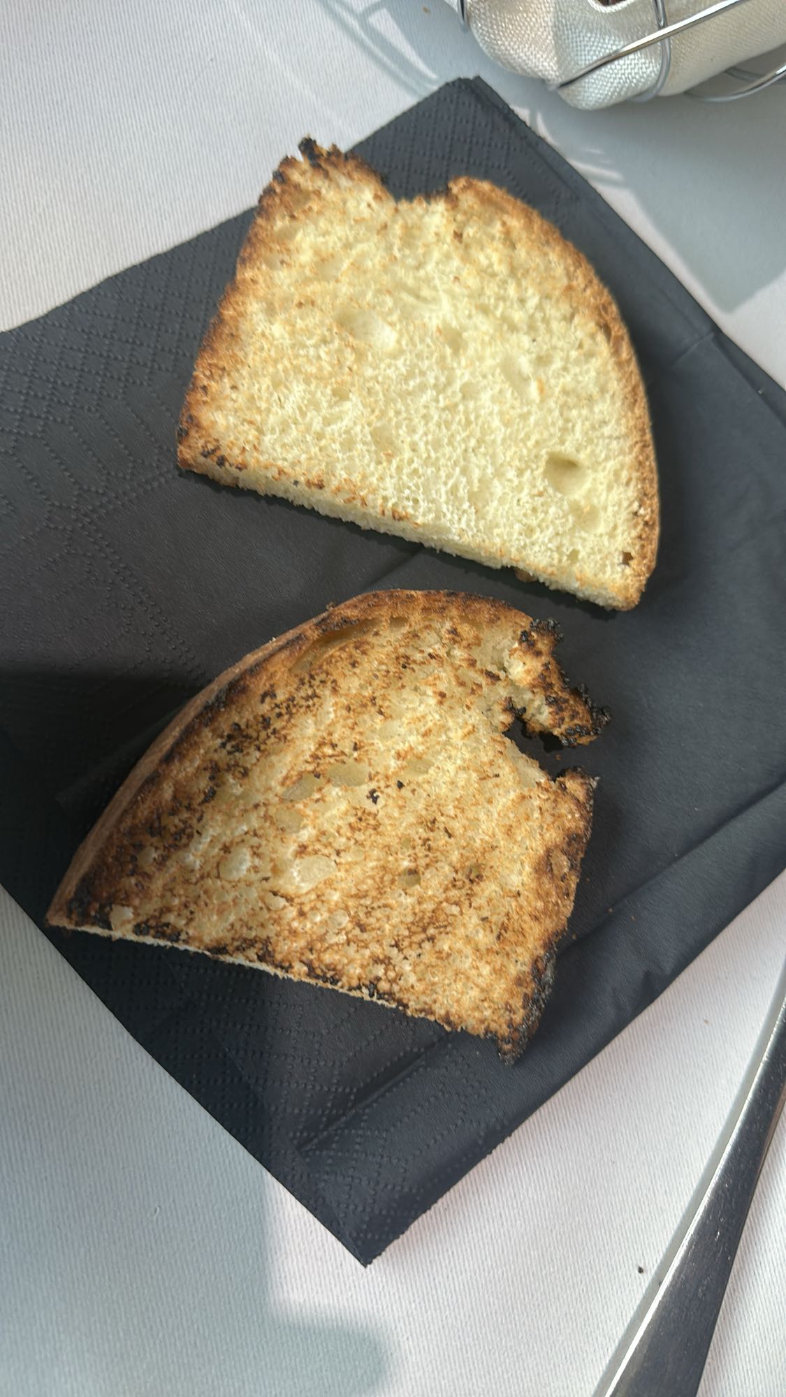 Toasted Bread Slices