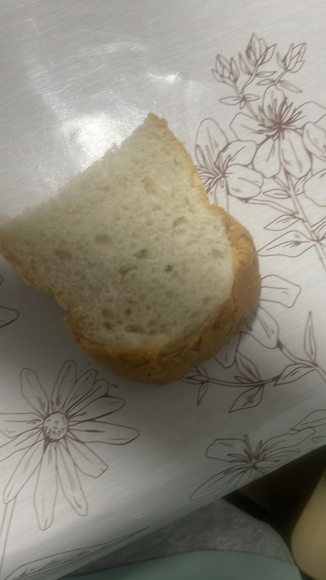 ломтик белого хлеба