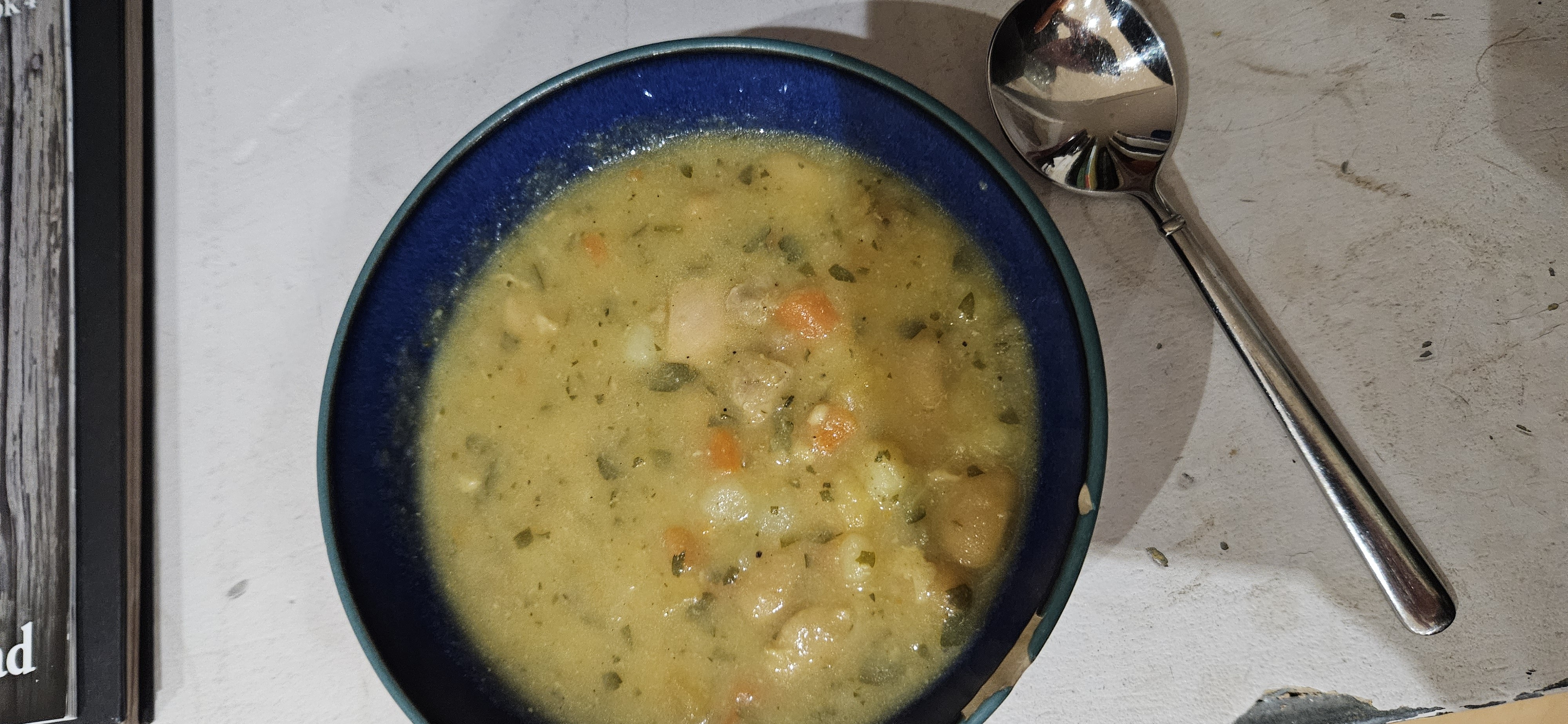 chicken vegetable soup