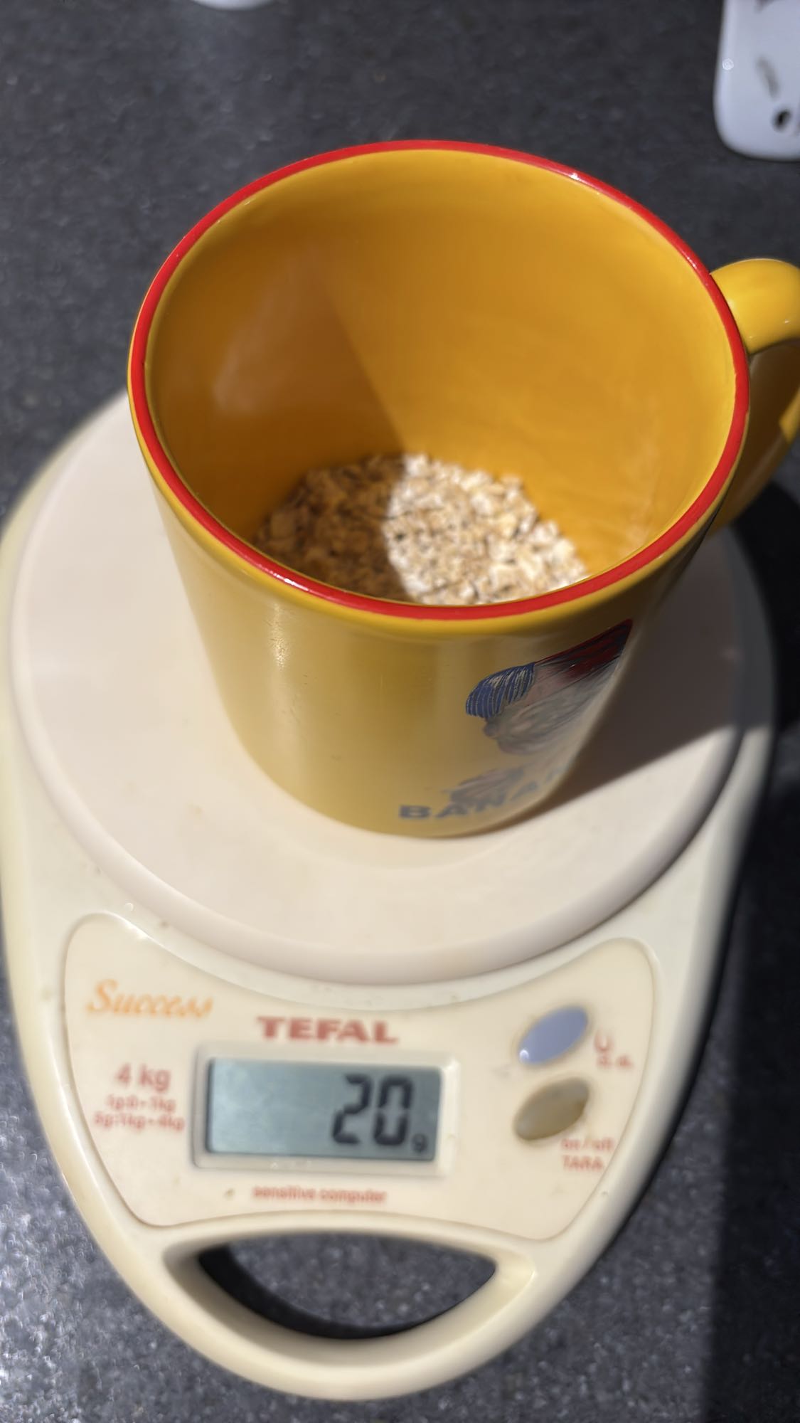 flocons d'avoine simple