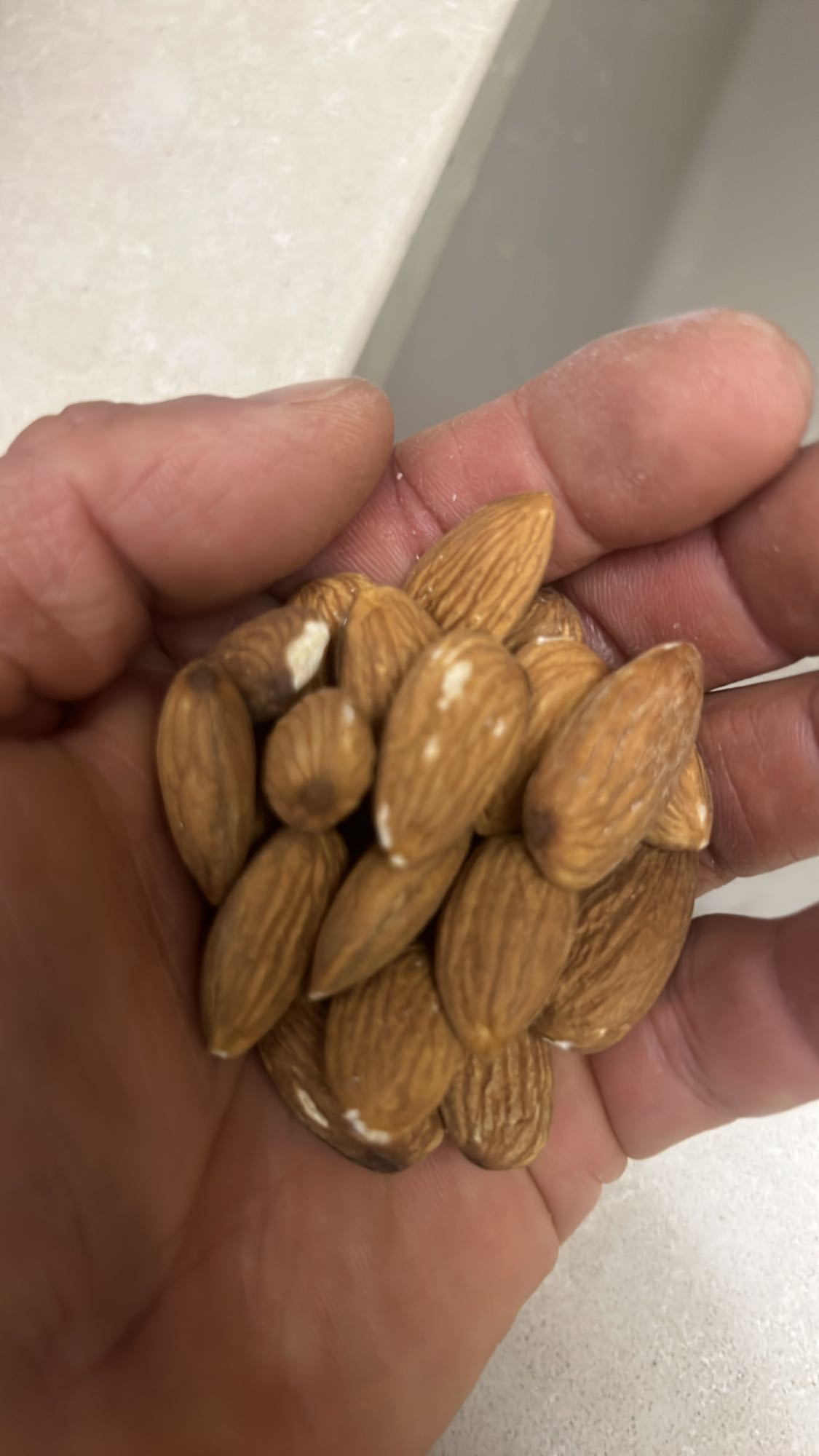 Handful of Almonds