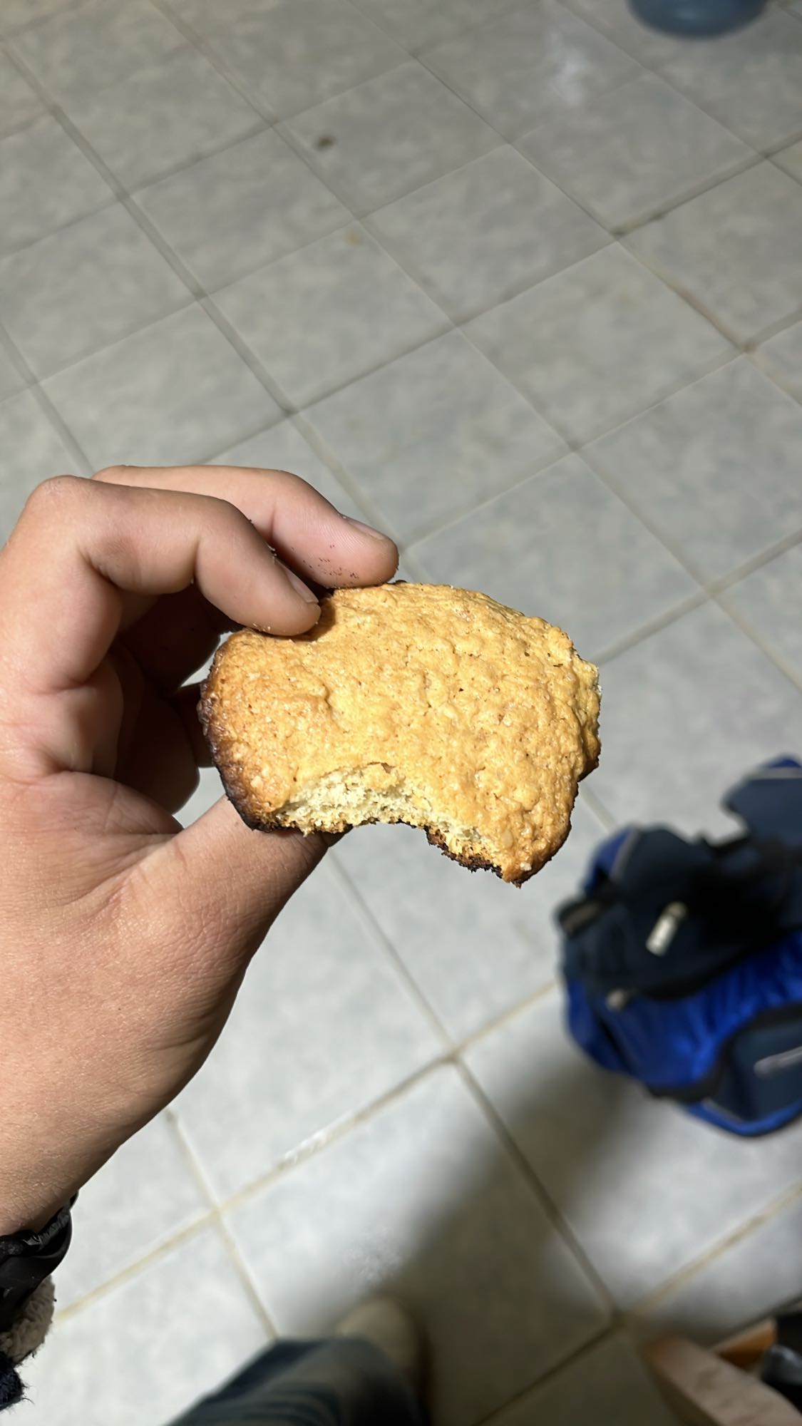 galleta casera de avena y harina