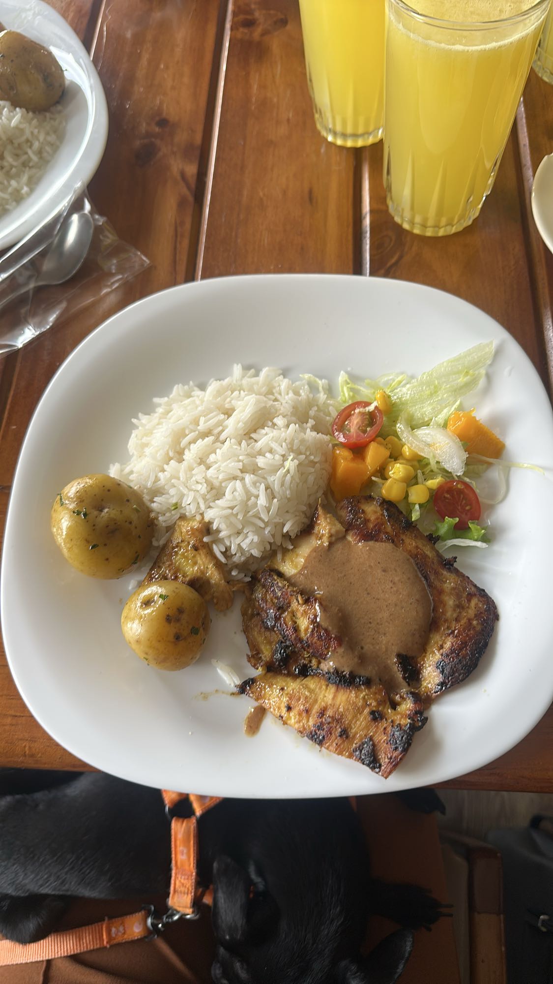 Pollo con arroz y ensalada