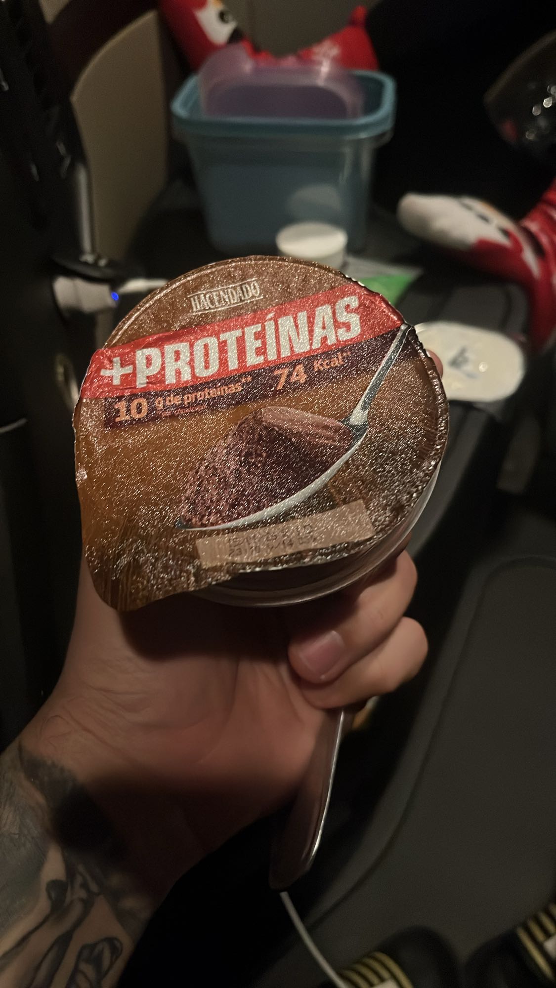 Budincă proteică cacao