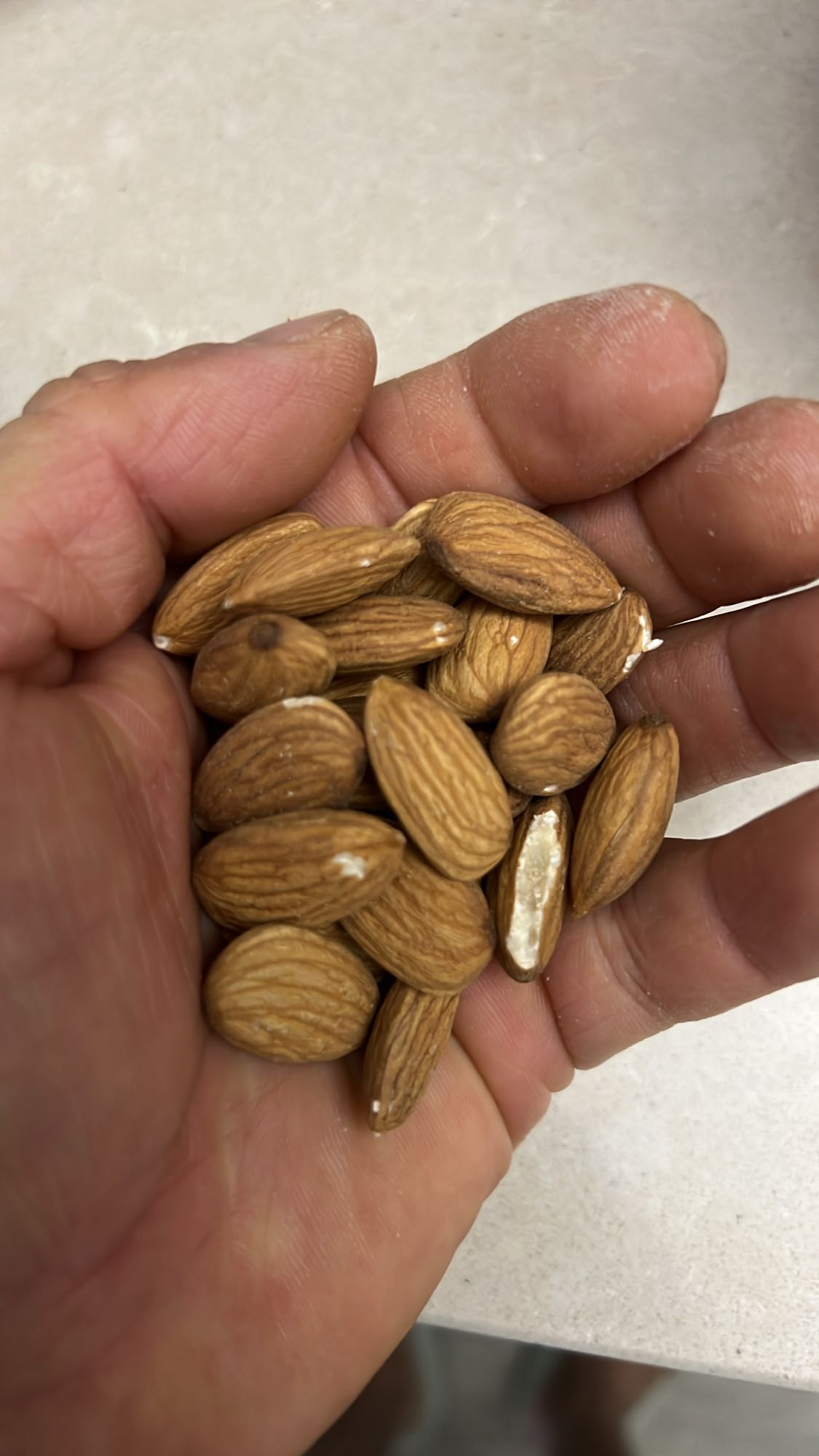 Handful of Almonds