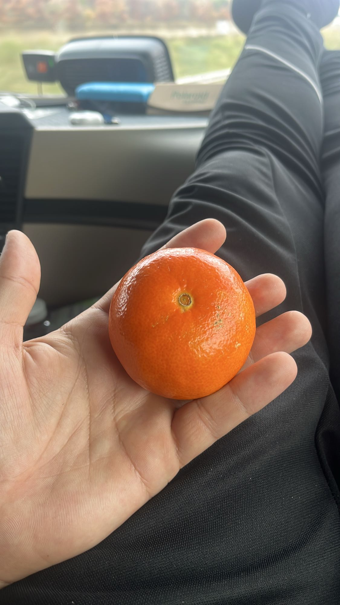 Mandarină proaspătă