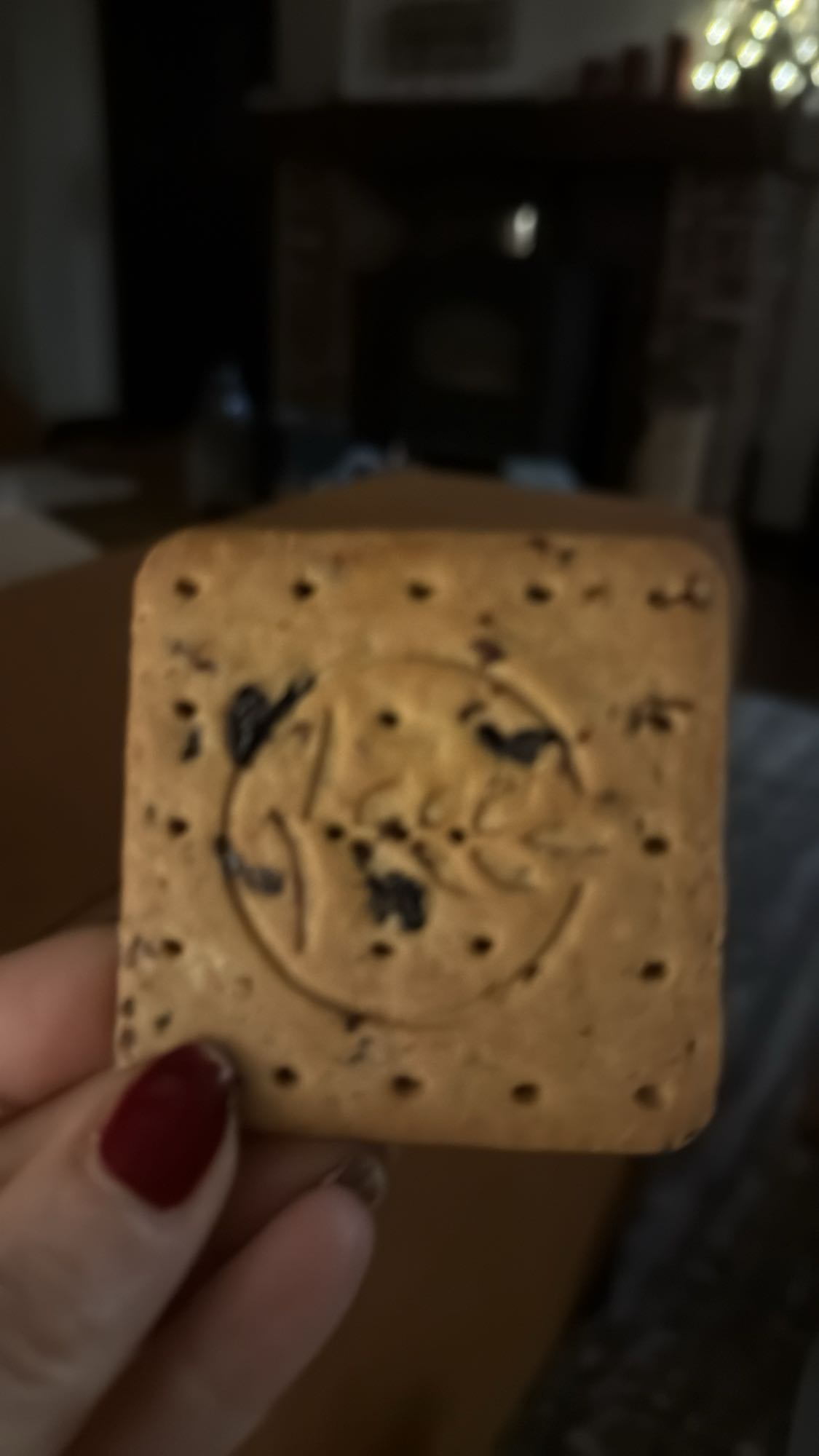 Rozijnenbiscuit