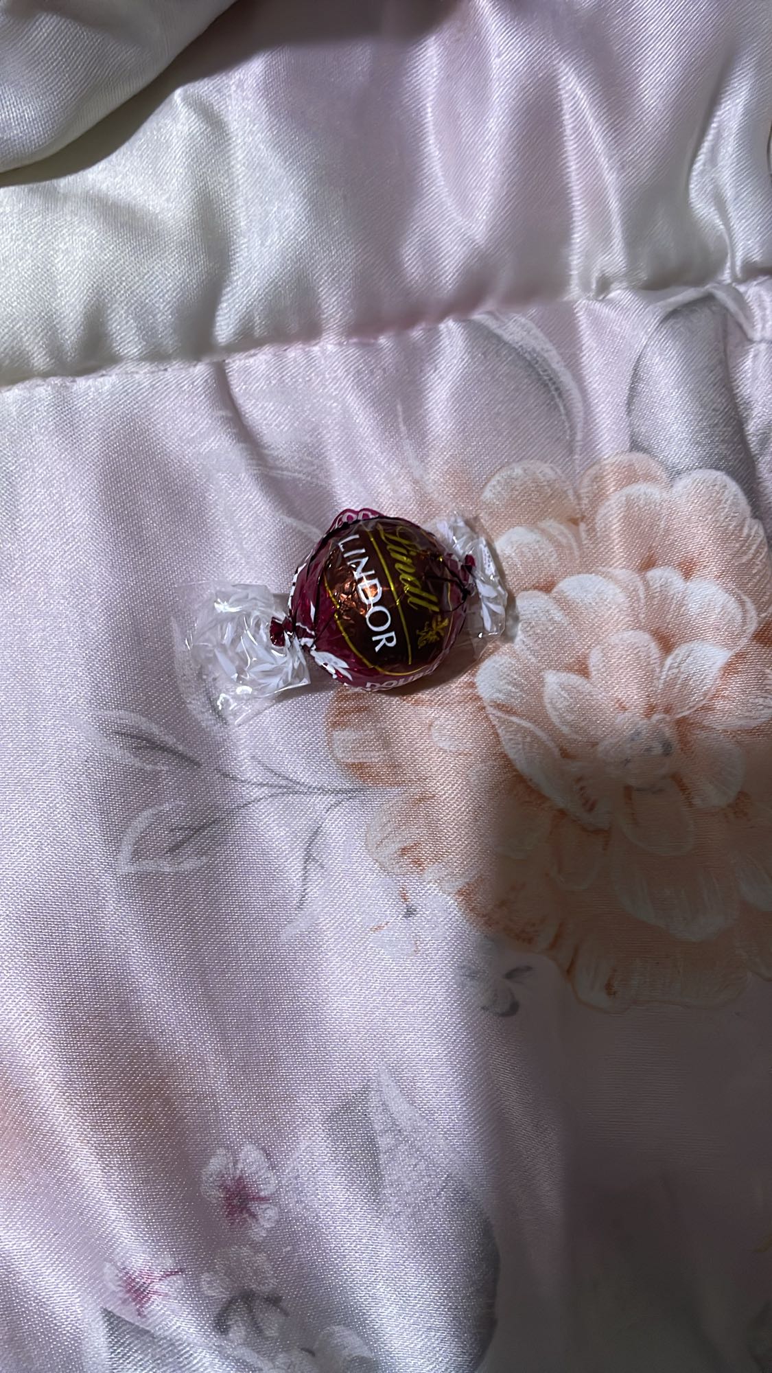 Lindt Lindor Chocolate Ball