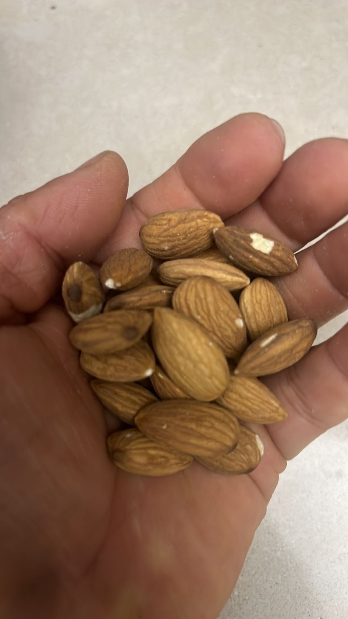 Handful of Almonds