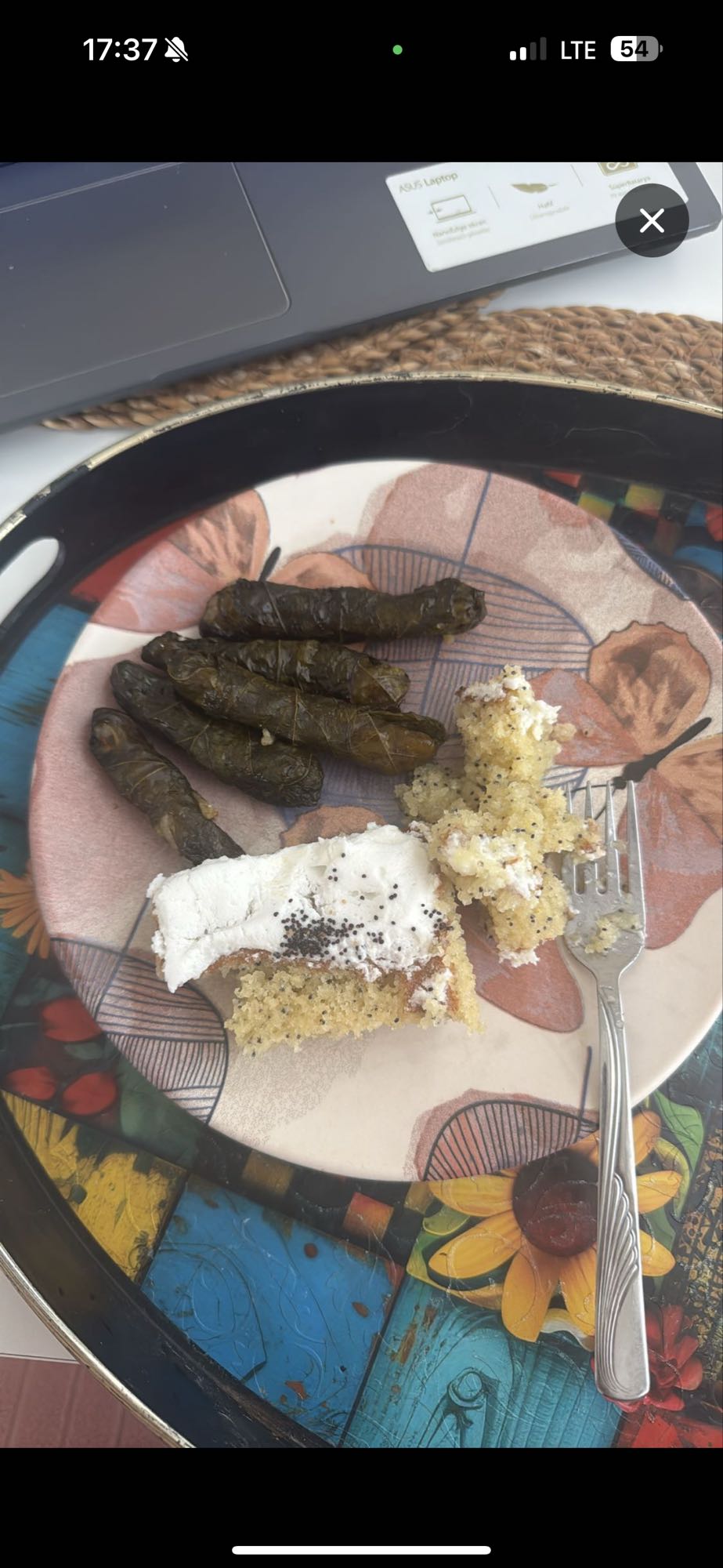 Zeytinyağlı sarma ve kek