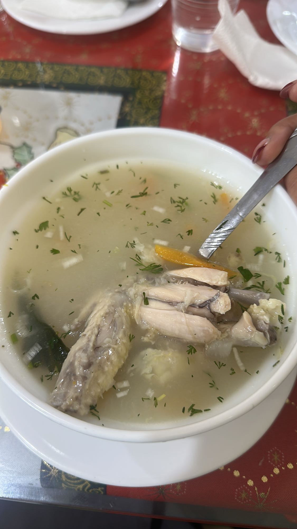 sopa de pollo casera