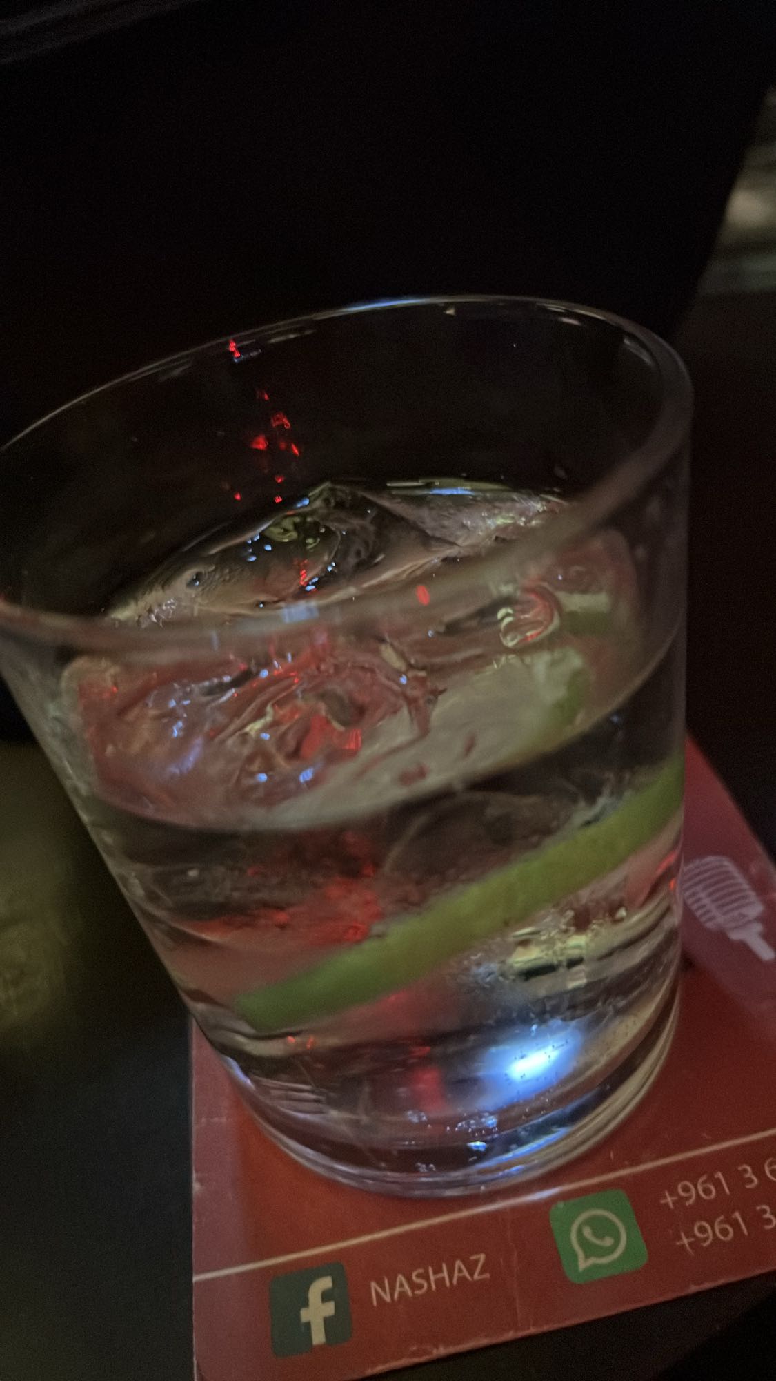 2 glasses of Gin and Tonic