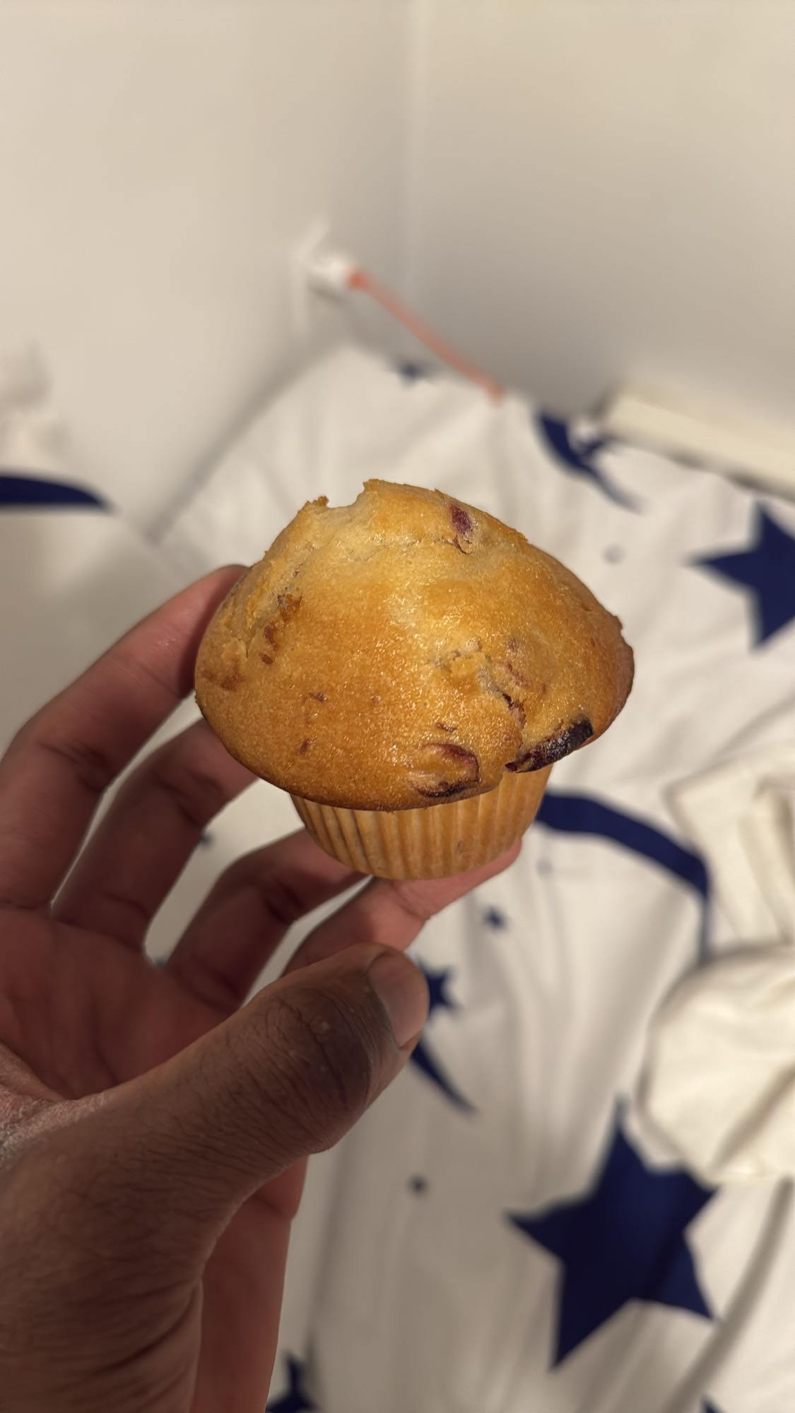 Muffin aux myrtilles