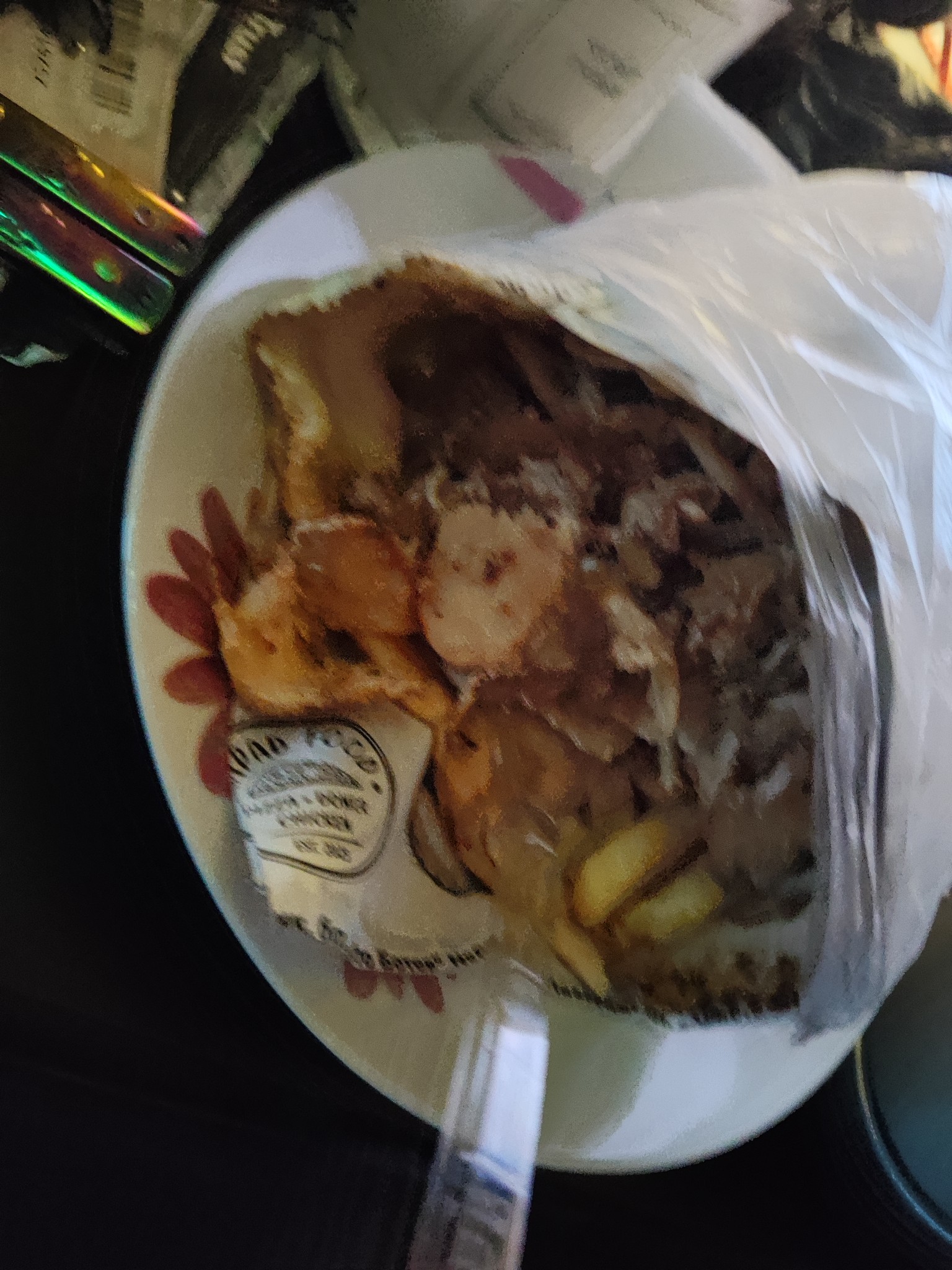 Chicken doner wrap with fries