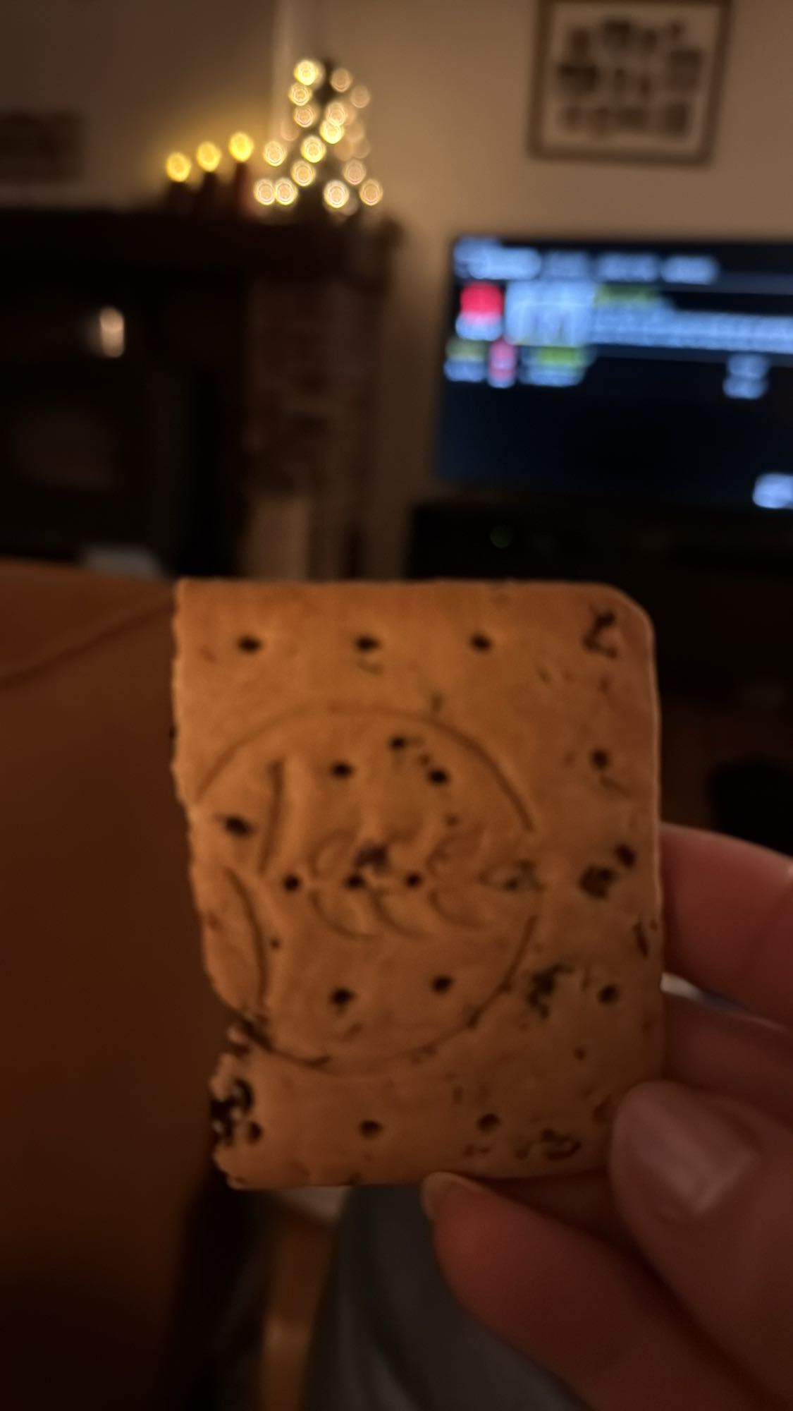 koekje met chocolade