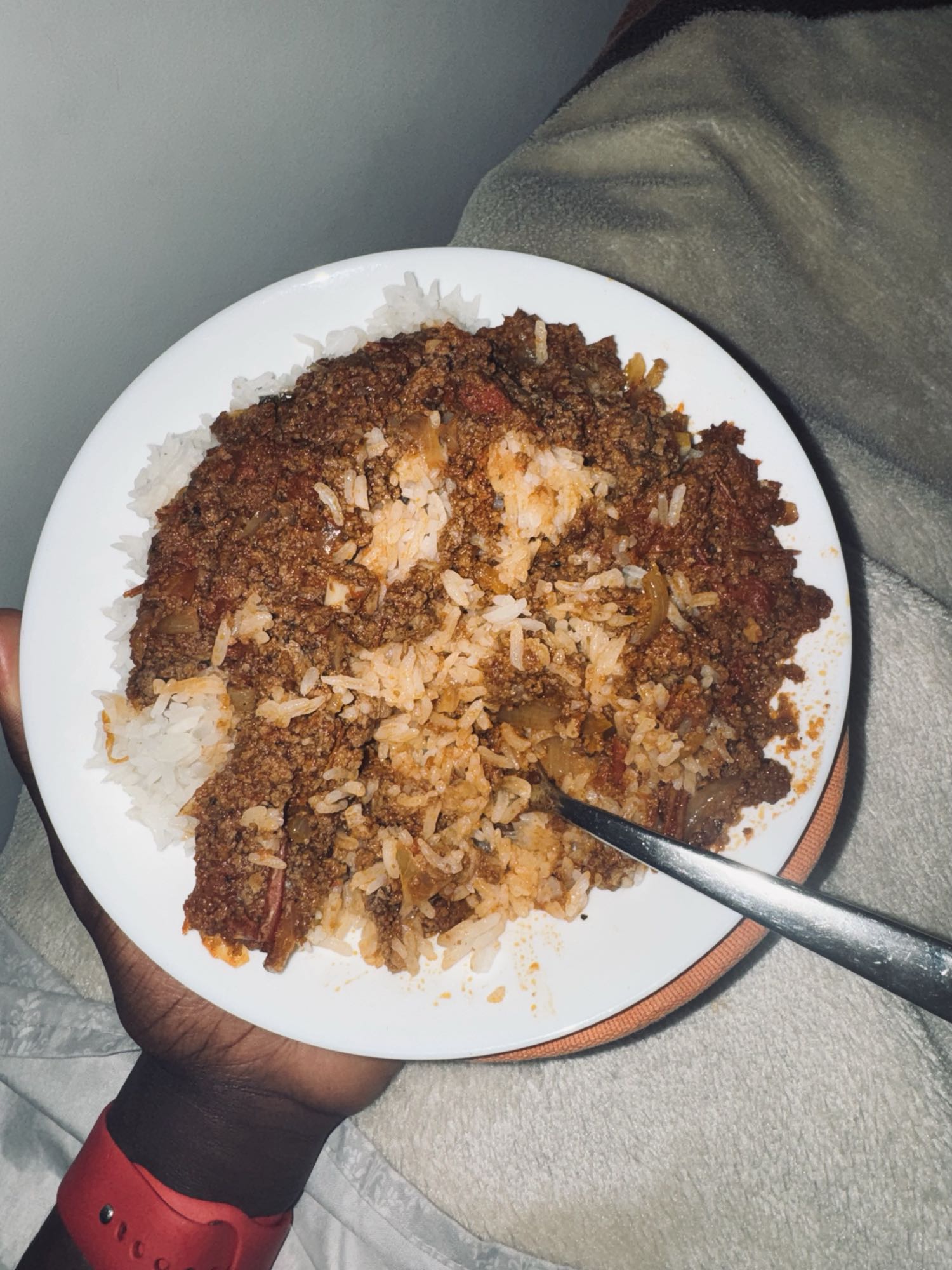 Rice with minced beef sauce