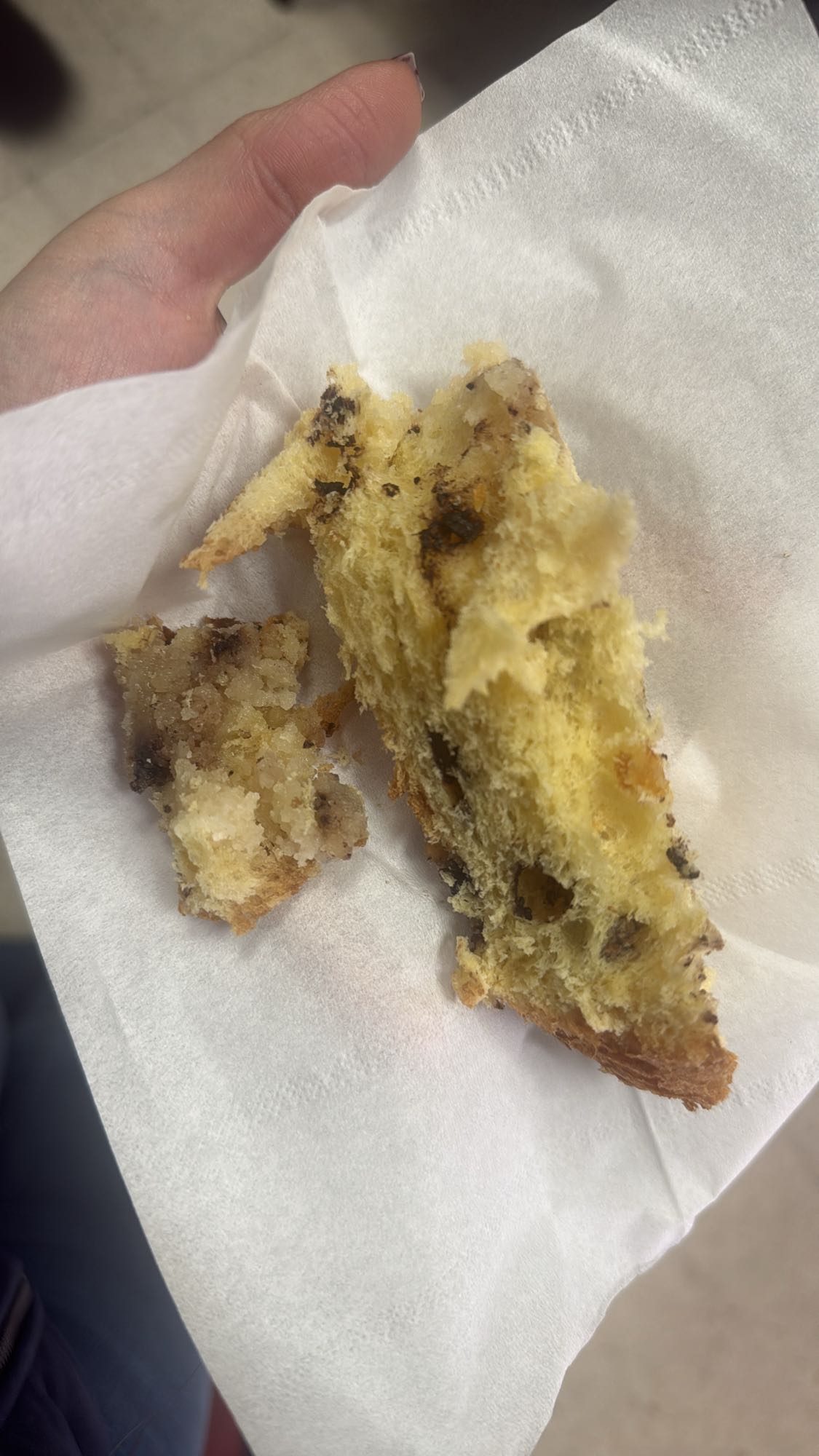 Chocolate chip sweet bread