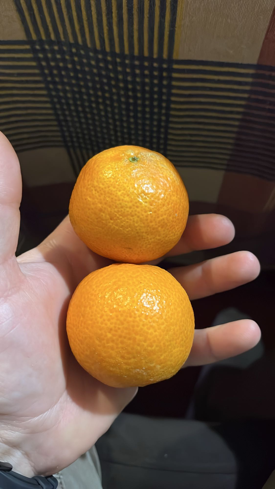 Две мандарини