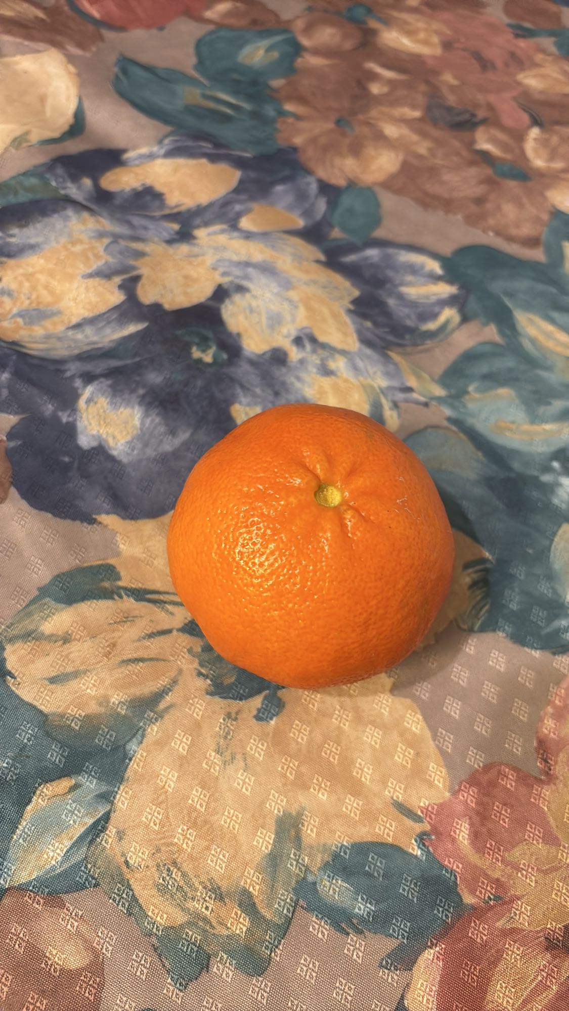 orange entière