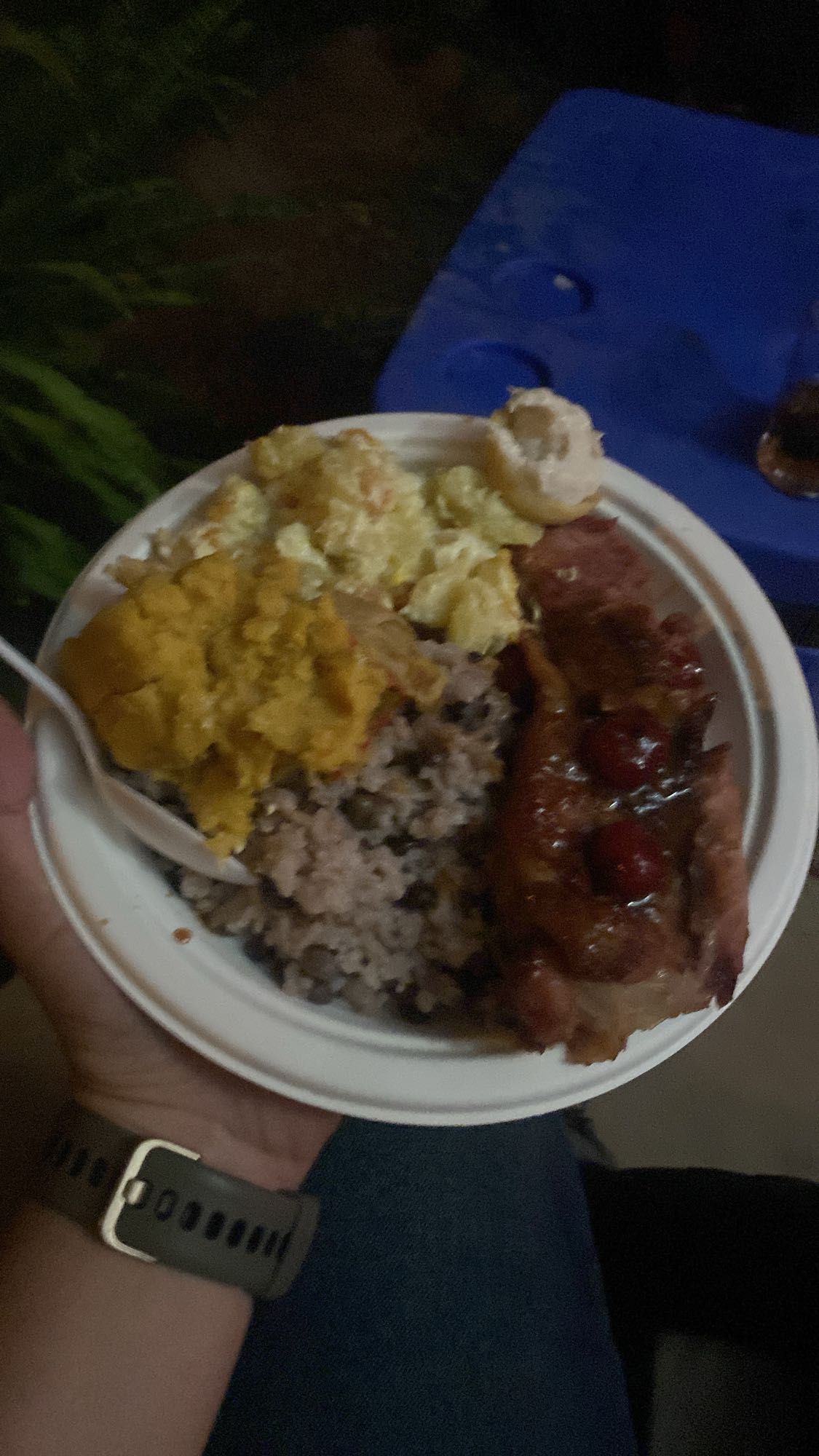 Cena con cerdo y guarniciones