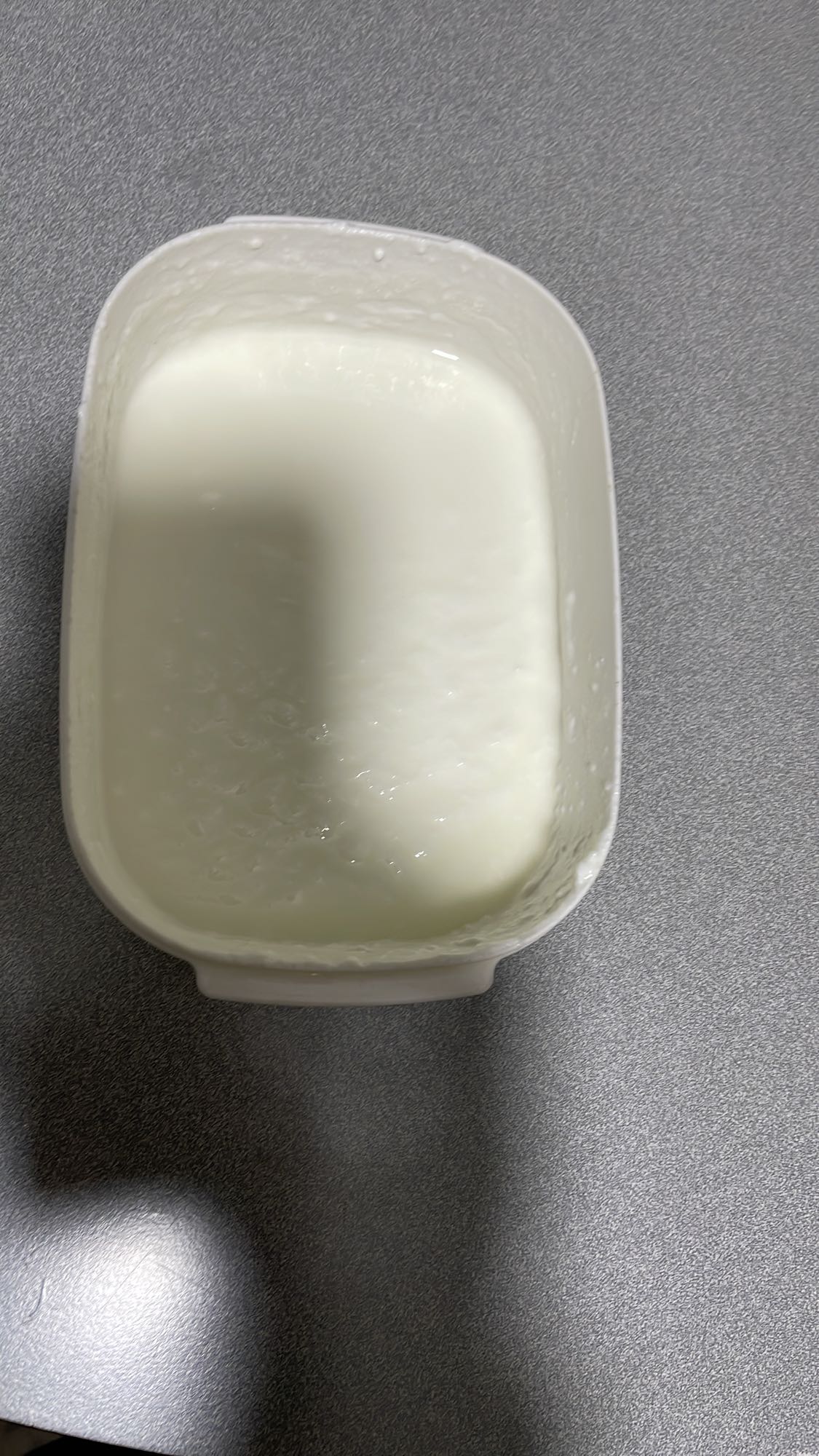 Plain Yogurt