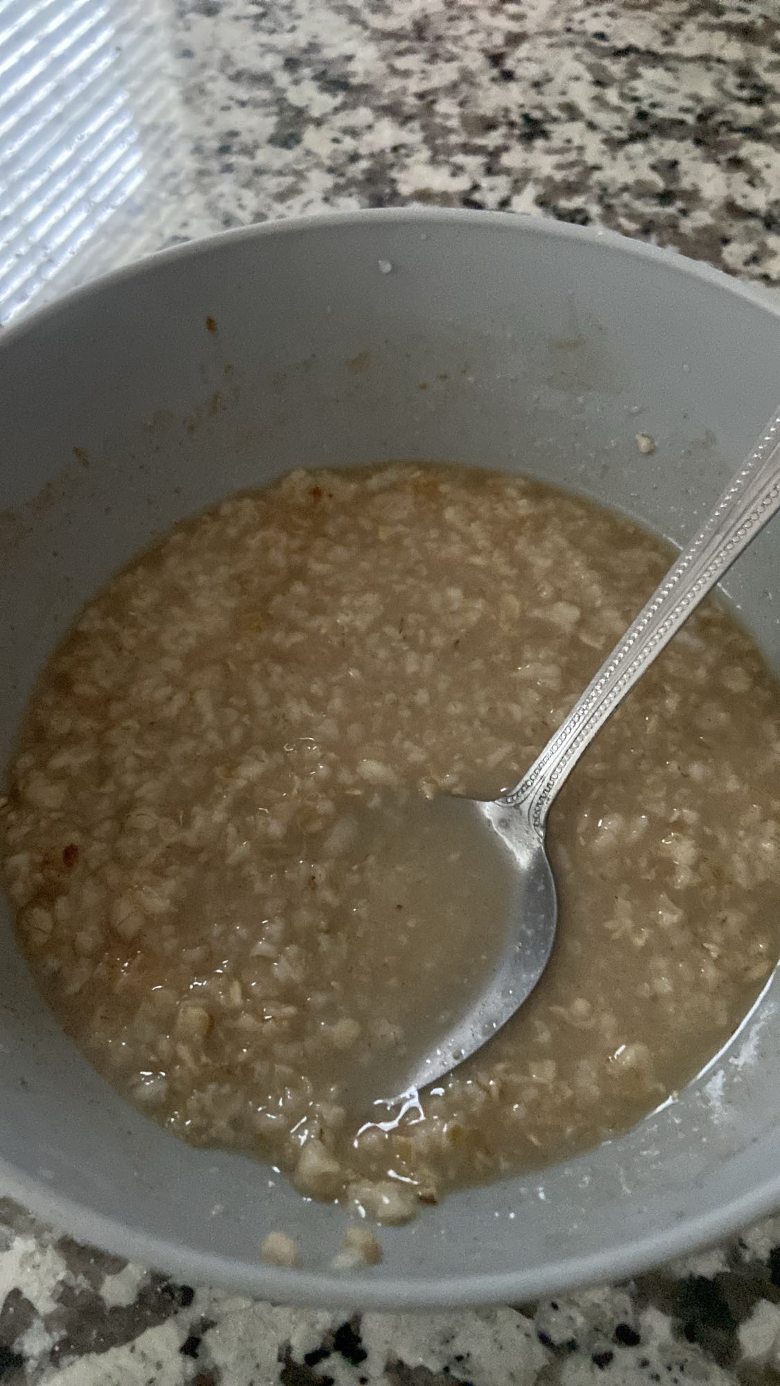 Plain oatmeal bowl