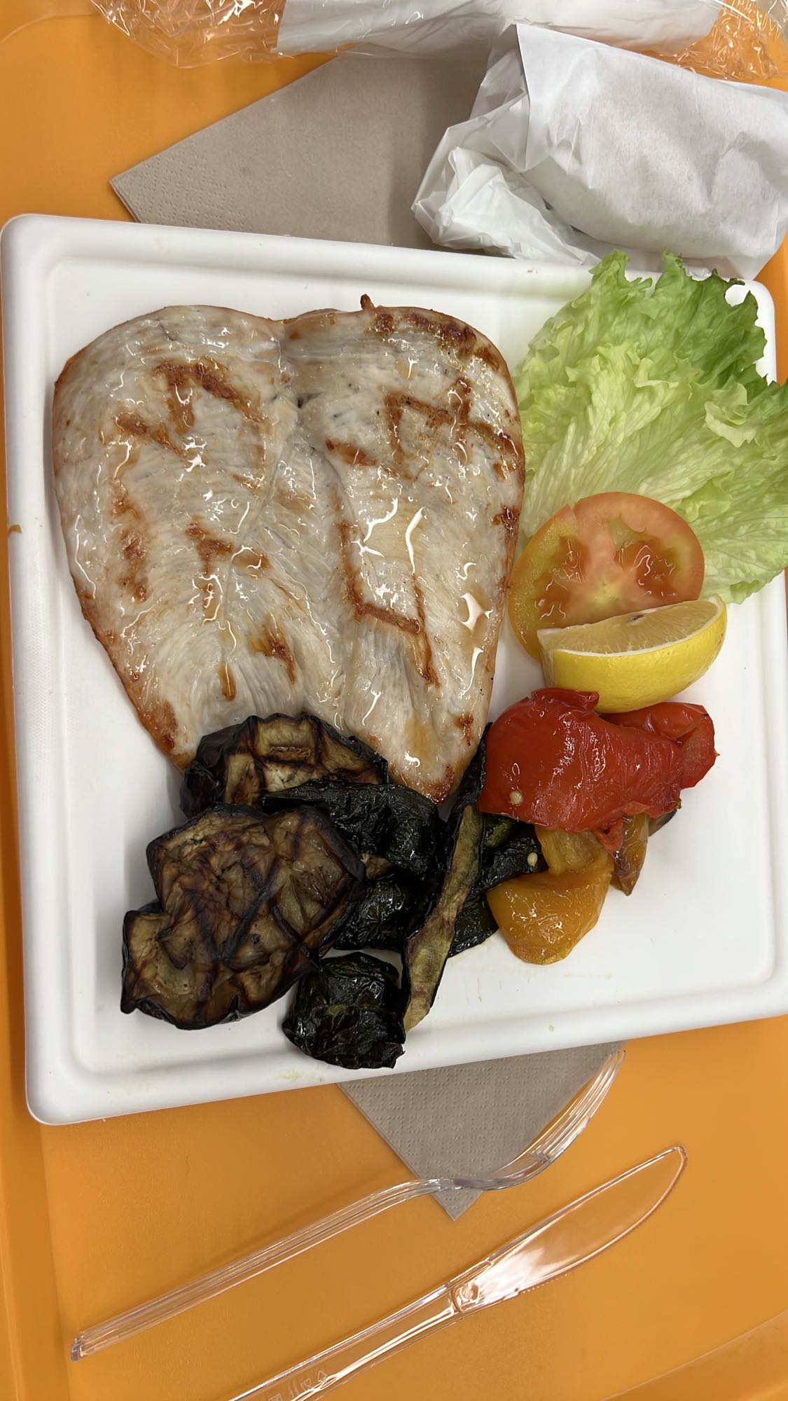 Izgara Tavuk ve Sebzeler