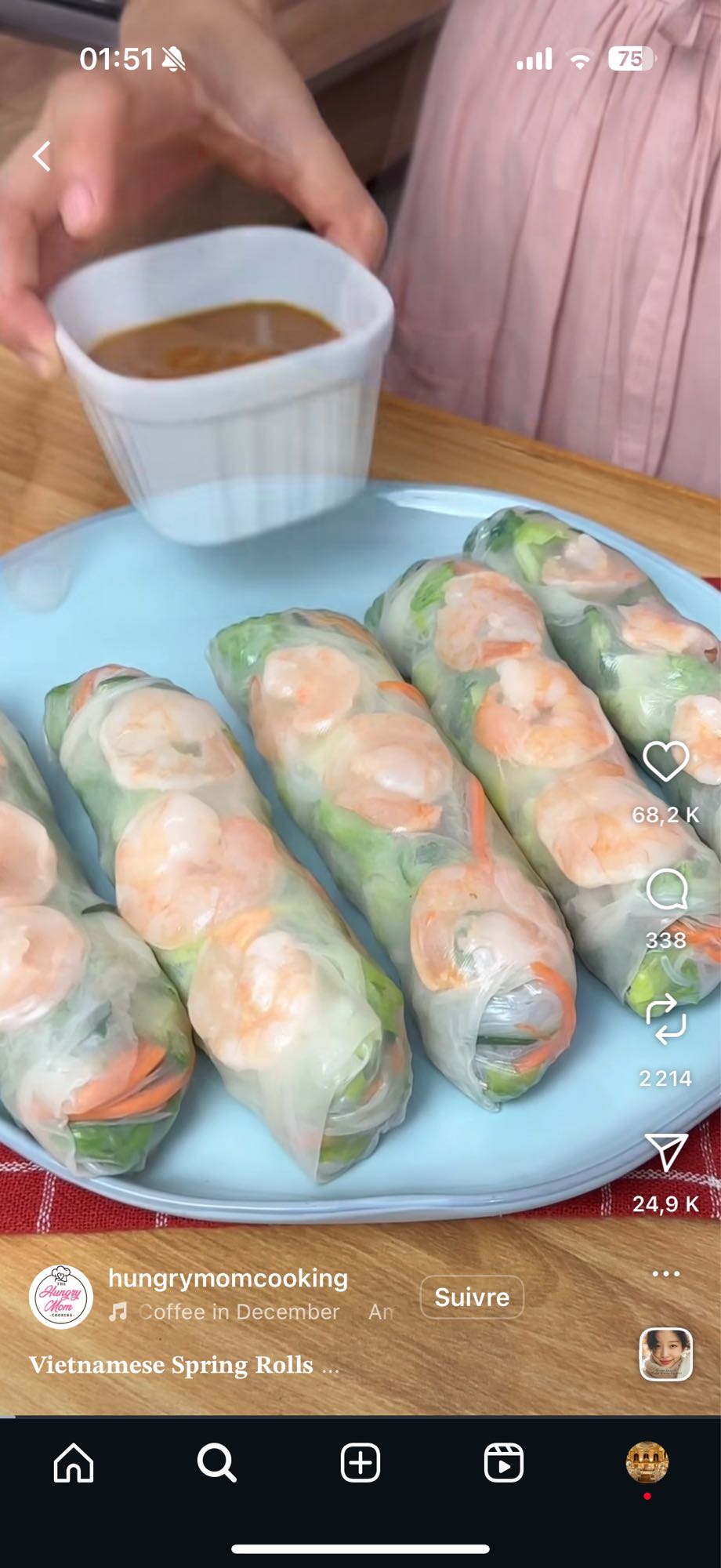 Rouleaux de printemps vietnamiens