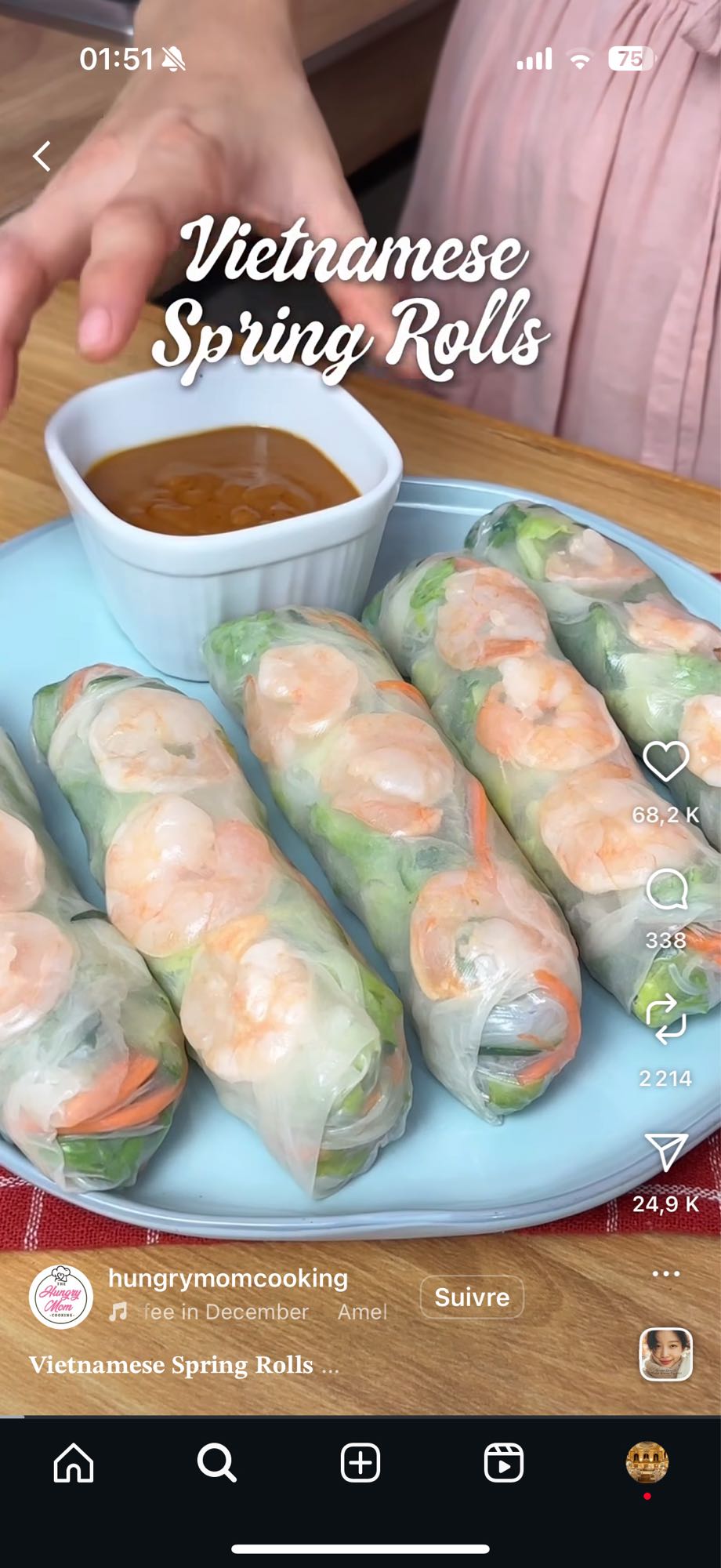 Rouleaux de printemps