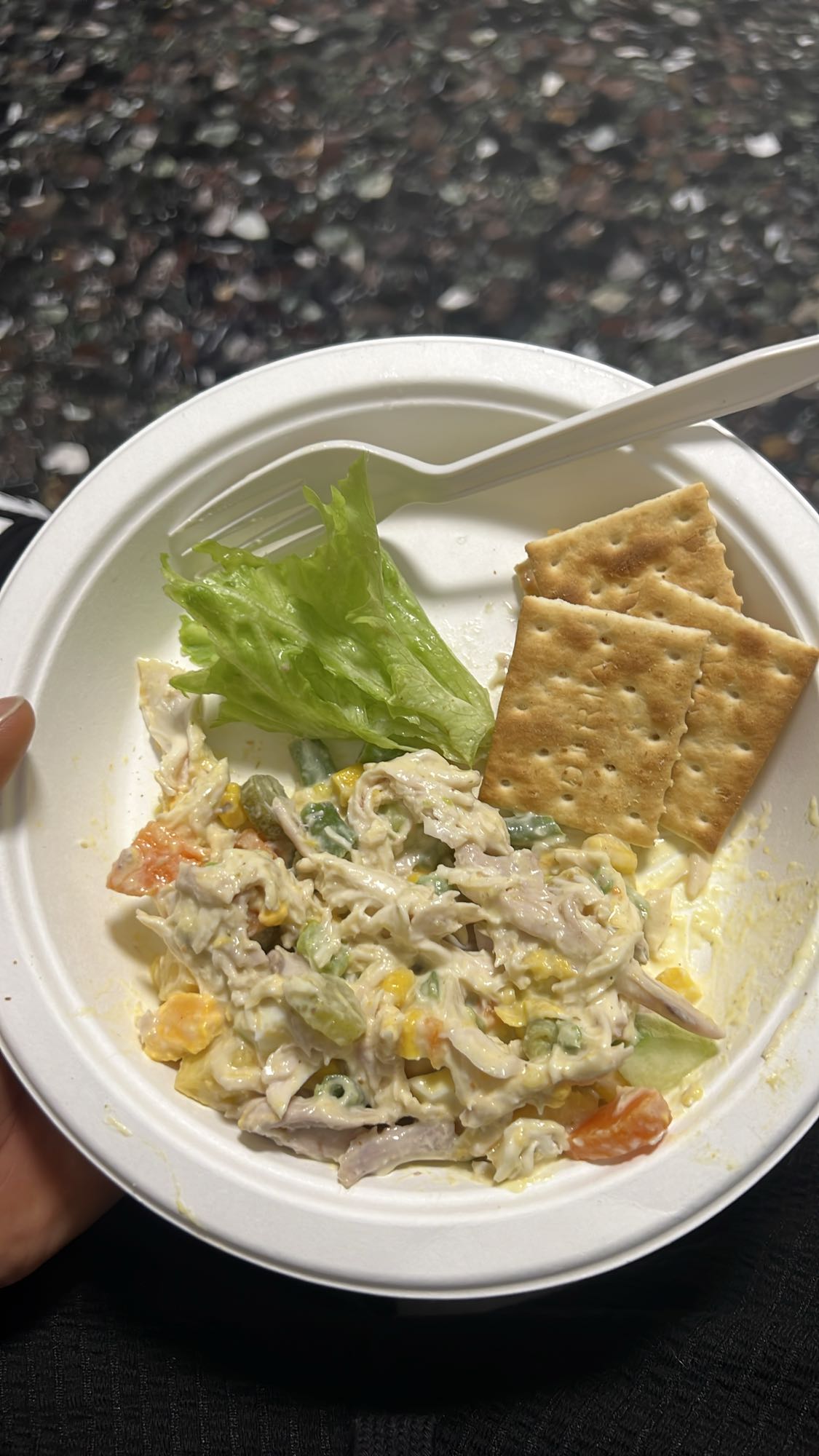 Chicken Veggie Salad