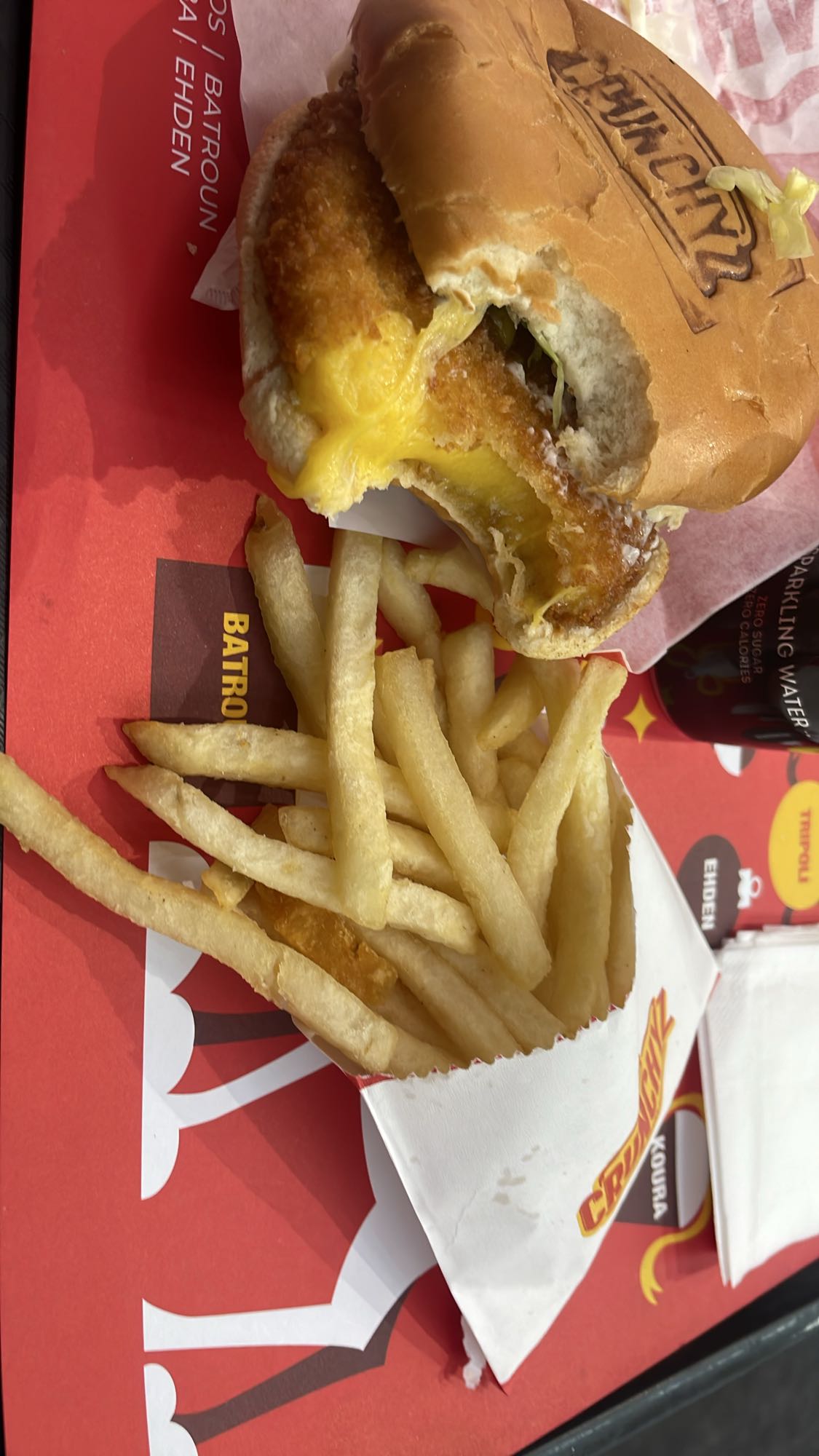 Fish burger with fries