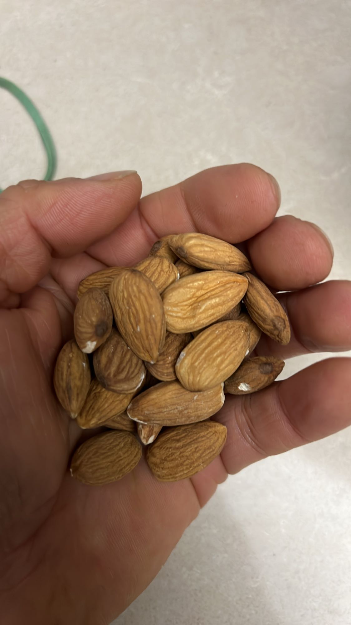 Handful of Almonds