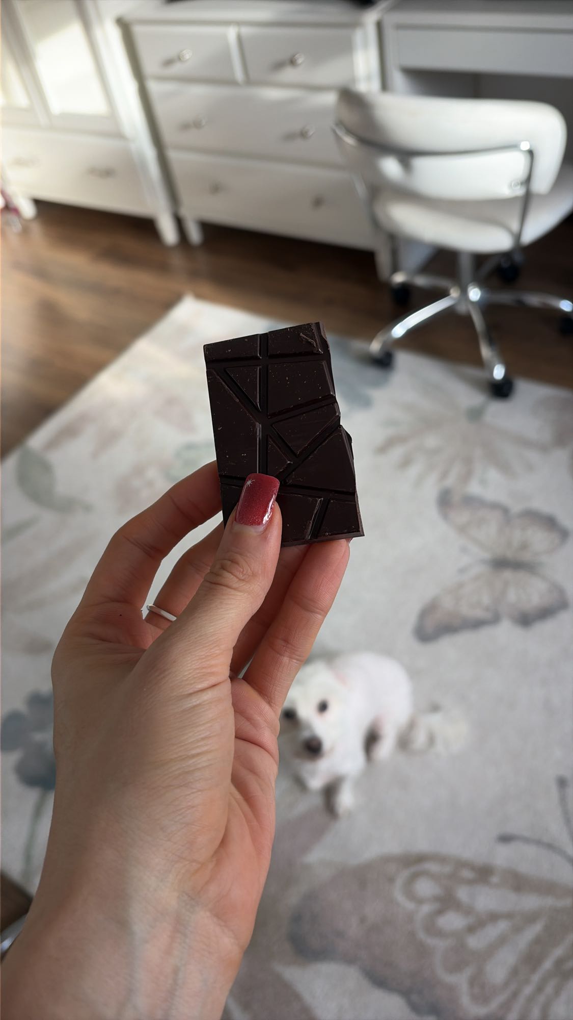 Ciocolată amăruie 100% cacao