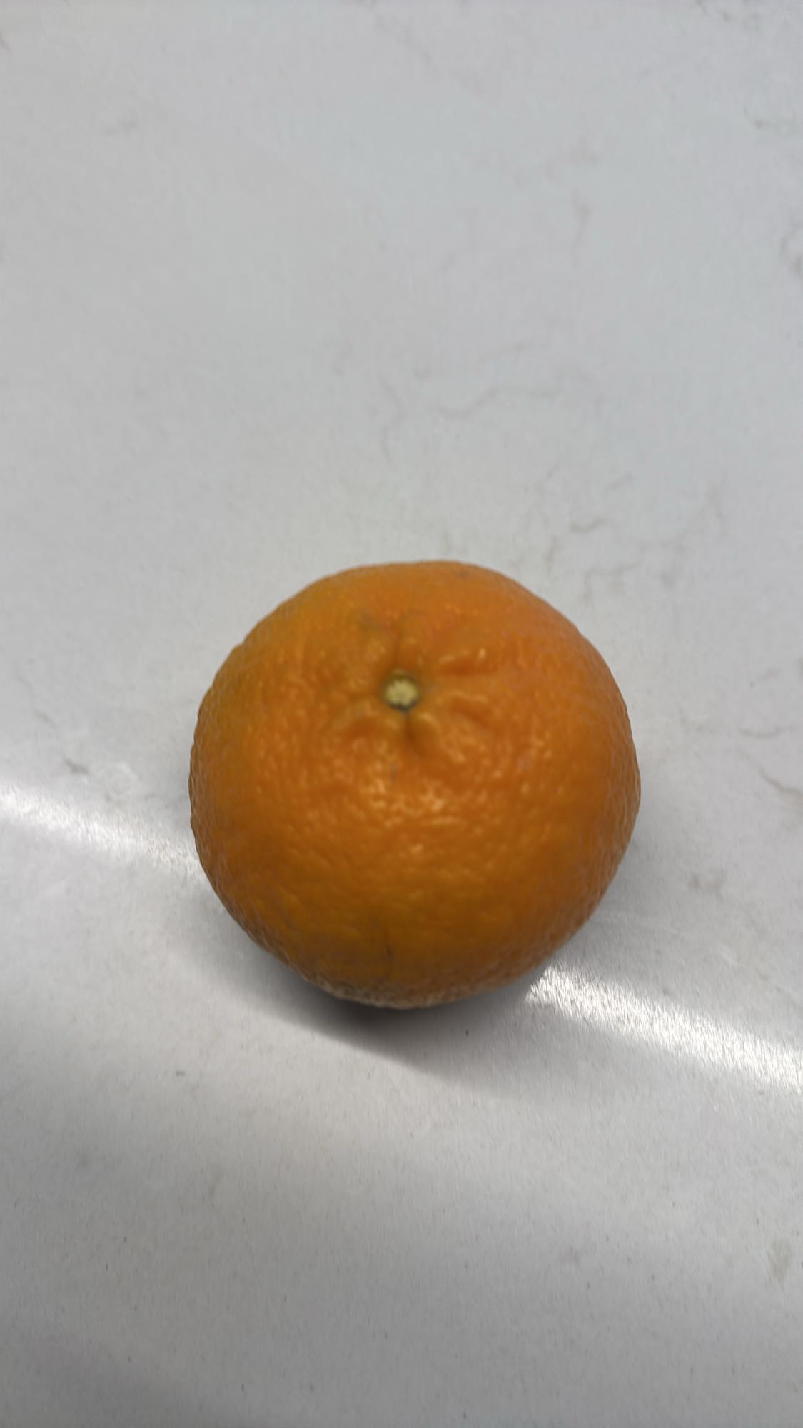 Mandarin Orange